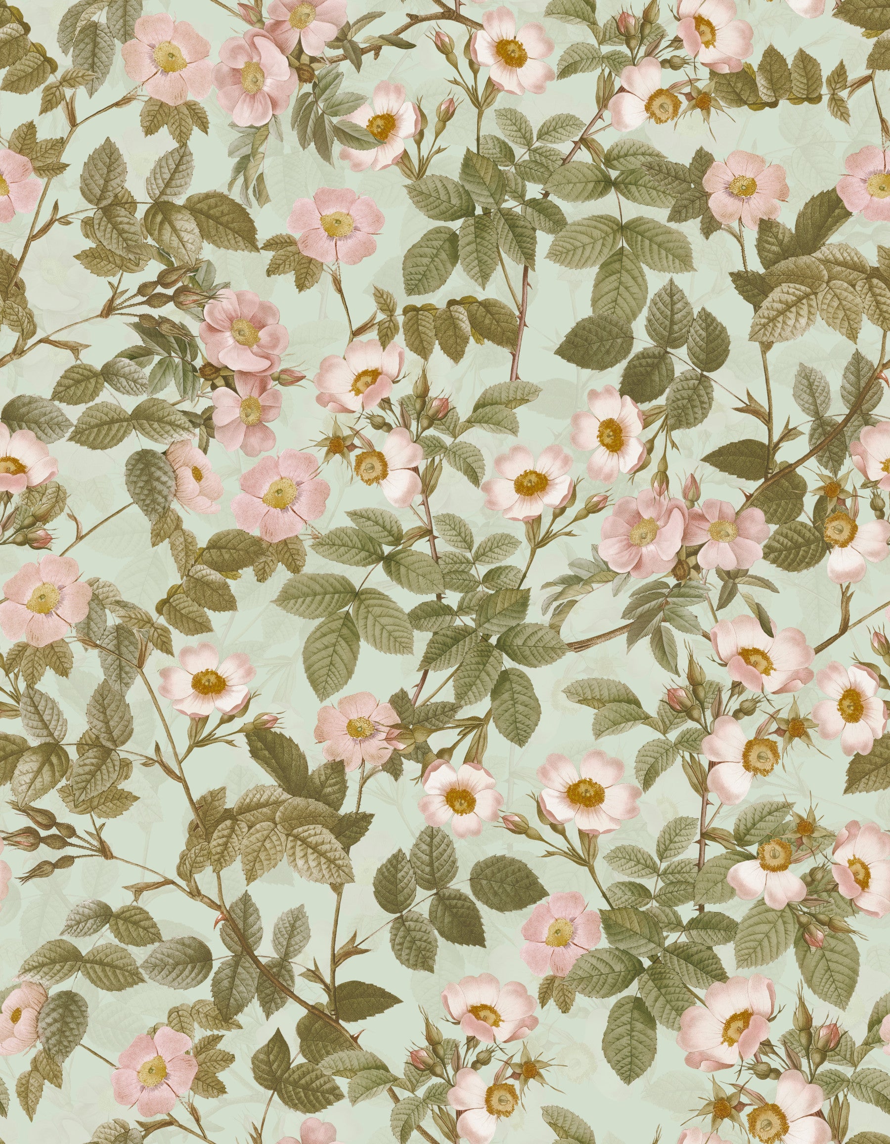 Roser Garden vintage 1 papier peint⁠ in your room — zoomed