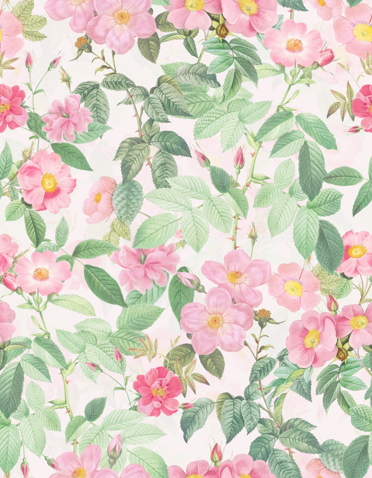 Blush Rose Garden Wallpaper⁠ in your room — zoomed