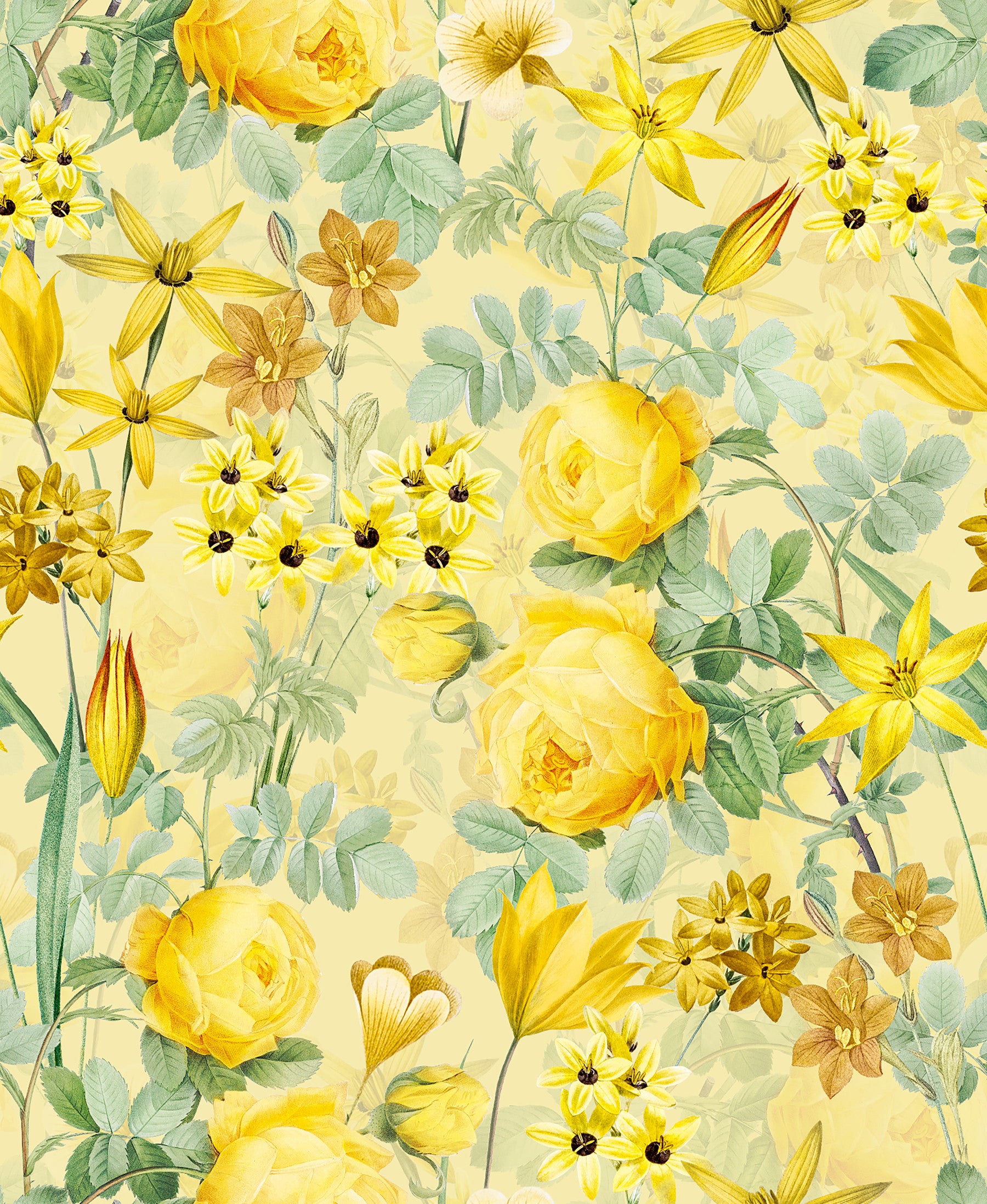 Golden Hour Rose Blooms Tapeta⁠