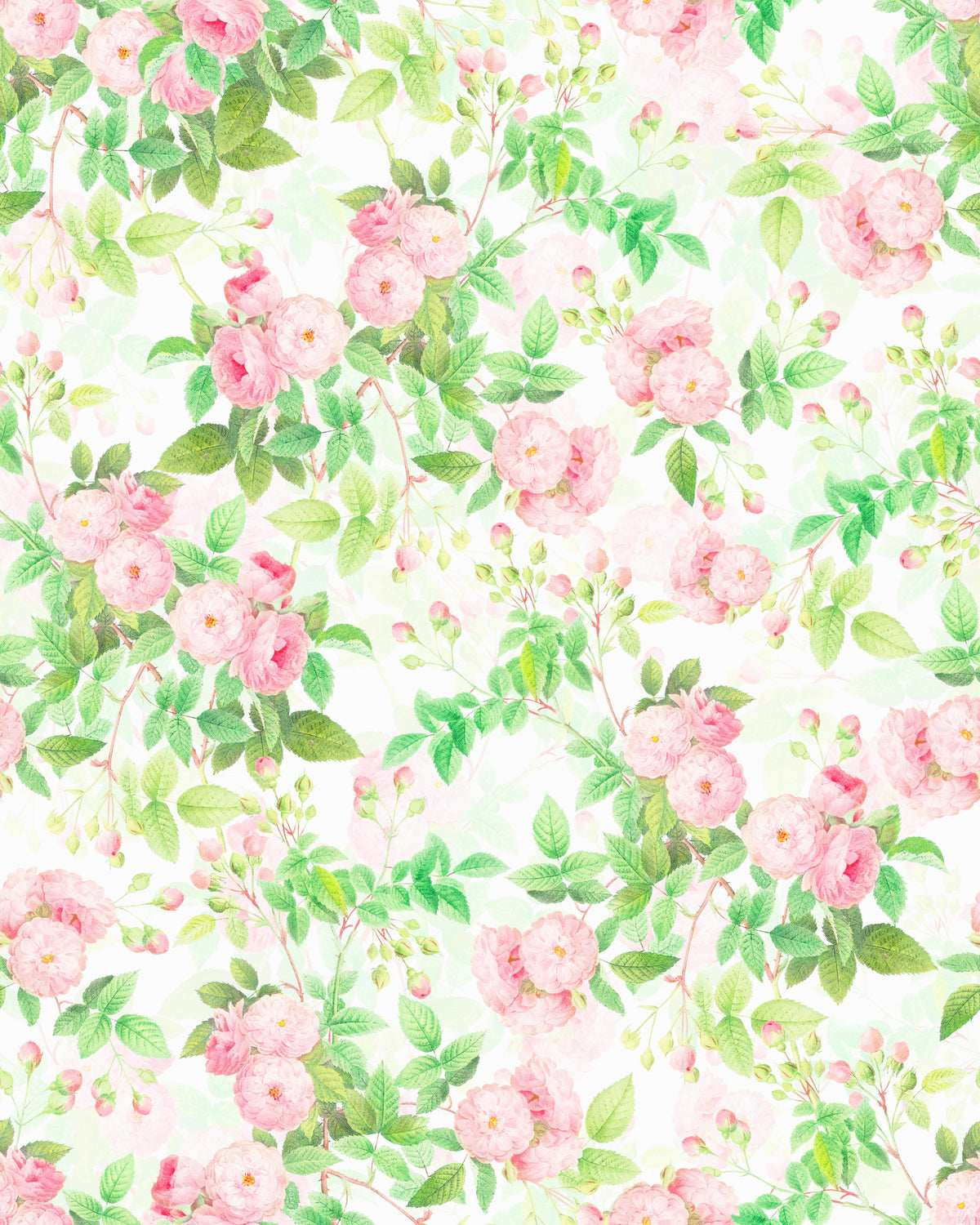 Pink Rose Watercolor Dream Wallpaper‚Å† in your room — zoomed