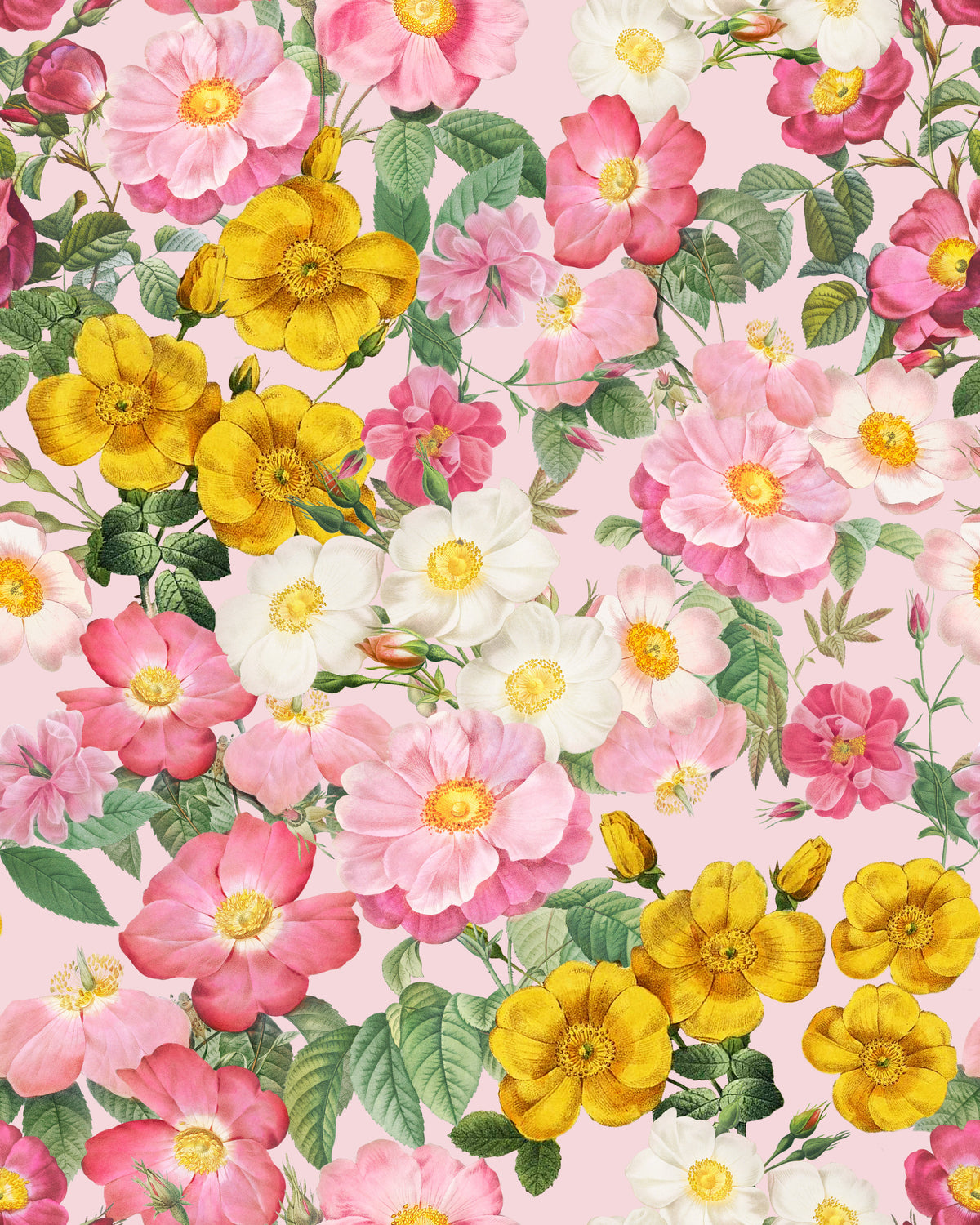 Romantisk Rose Garden 1 tapet⁠