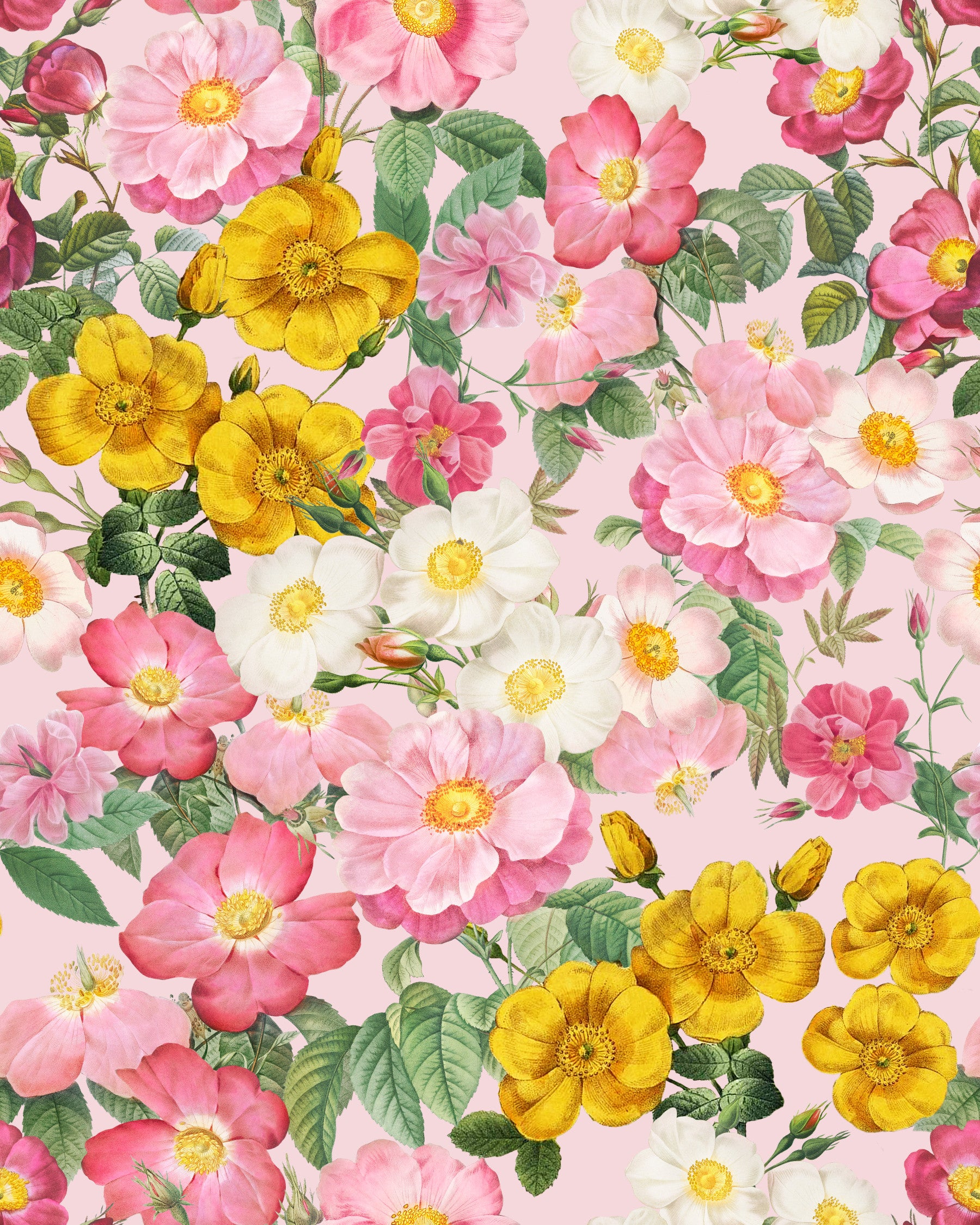 Romantisk Rose Garden 1 tapet⁠ in your room — zoomed
