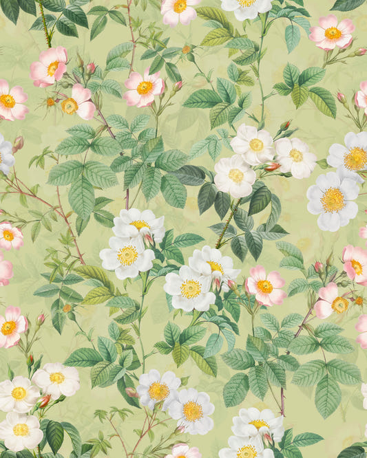Vintage Rose Garden 3 tapet⁠