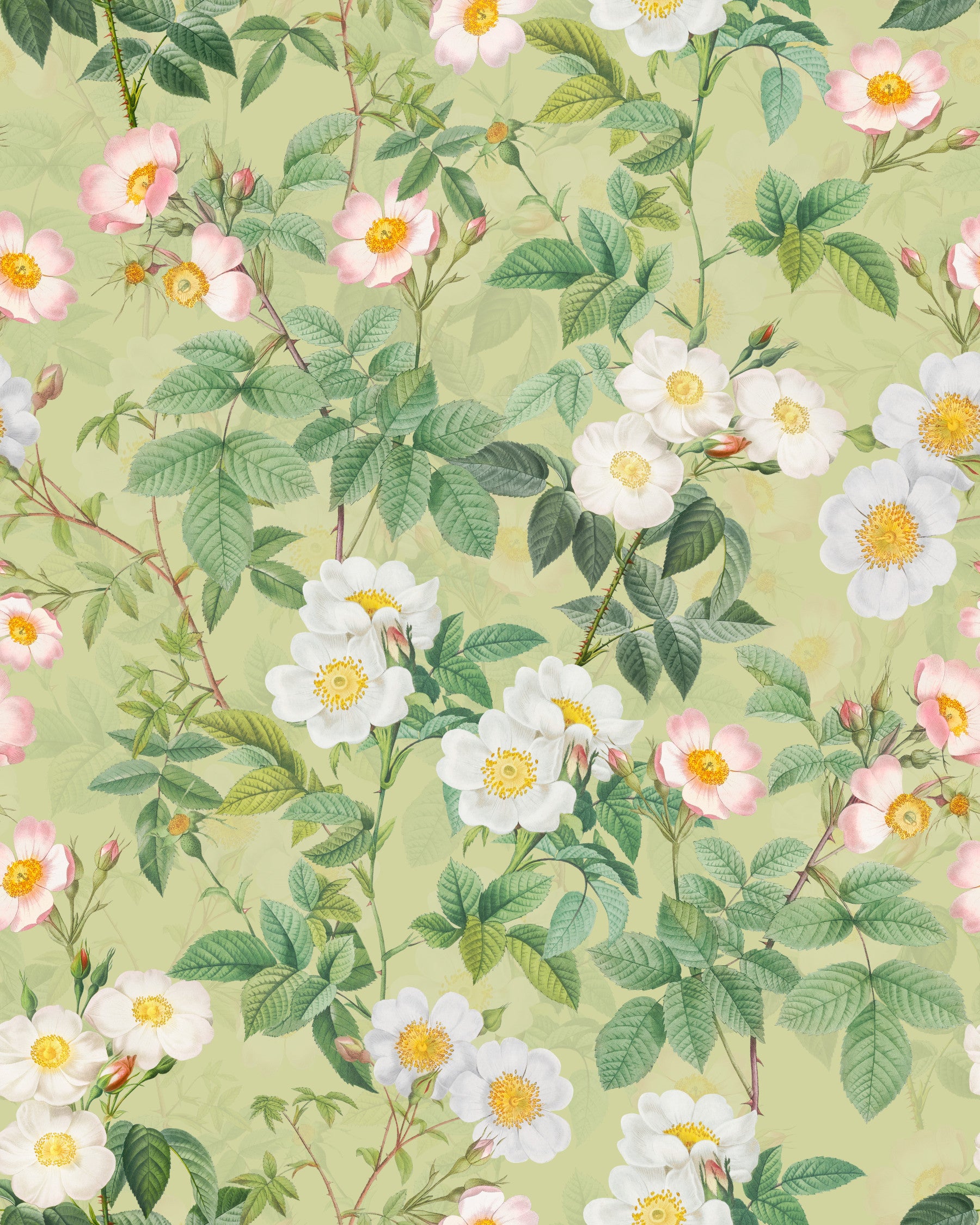Grădină de trandafiri vintage 3 tapet in your room — zoomed