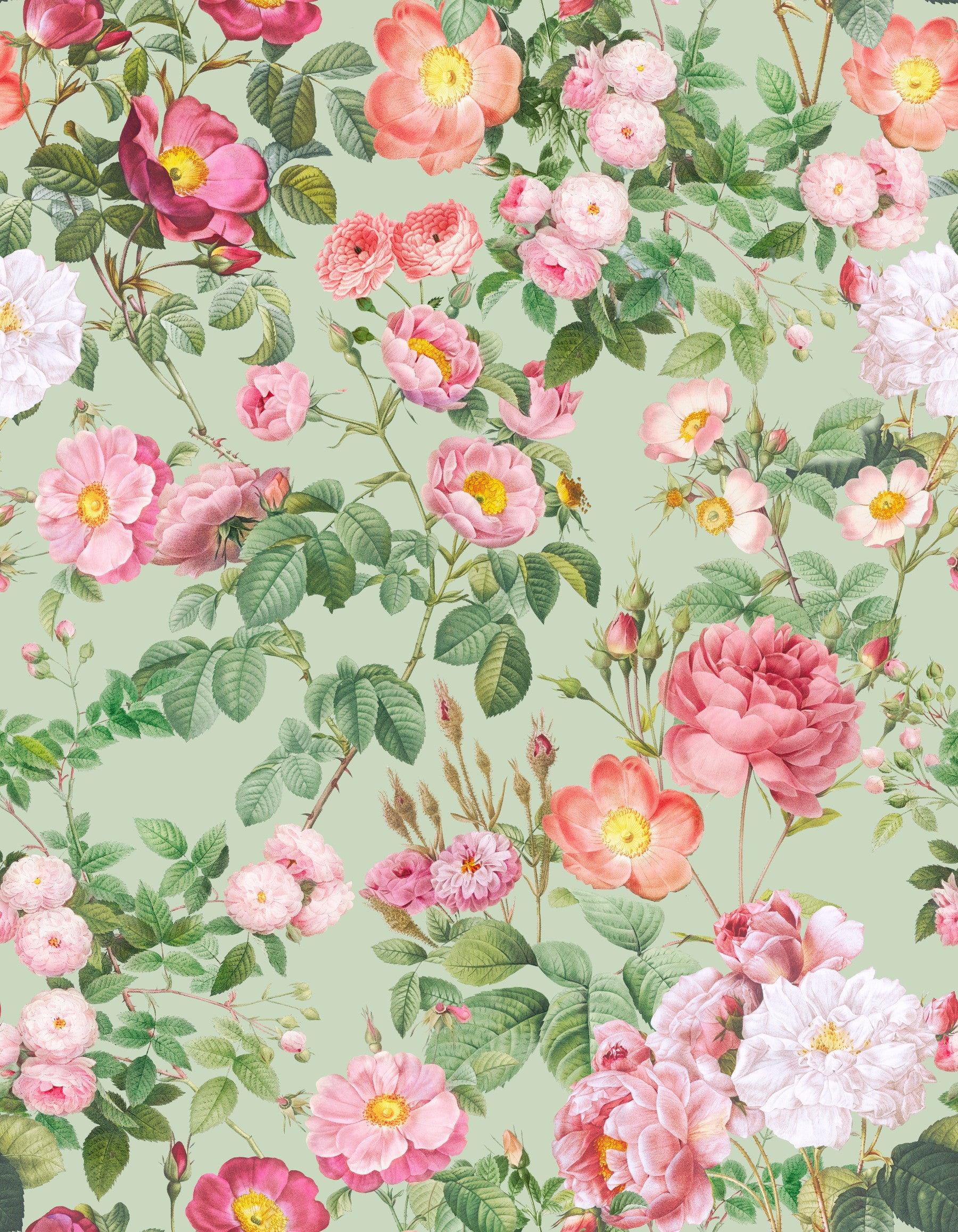 Pastellparadies Rosen Wallpaper⁠