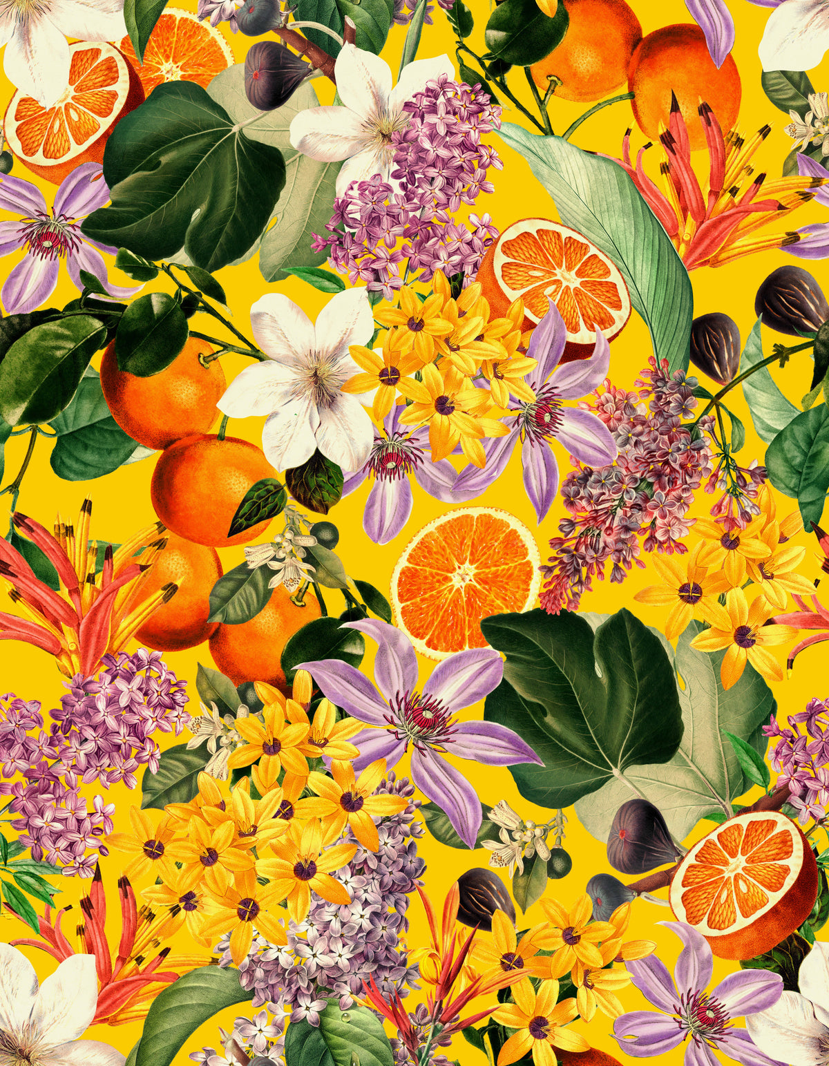 Zitrusblüte Burst Wallpaper⁠ in your room — zoomed