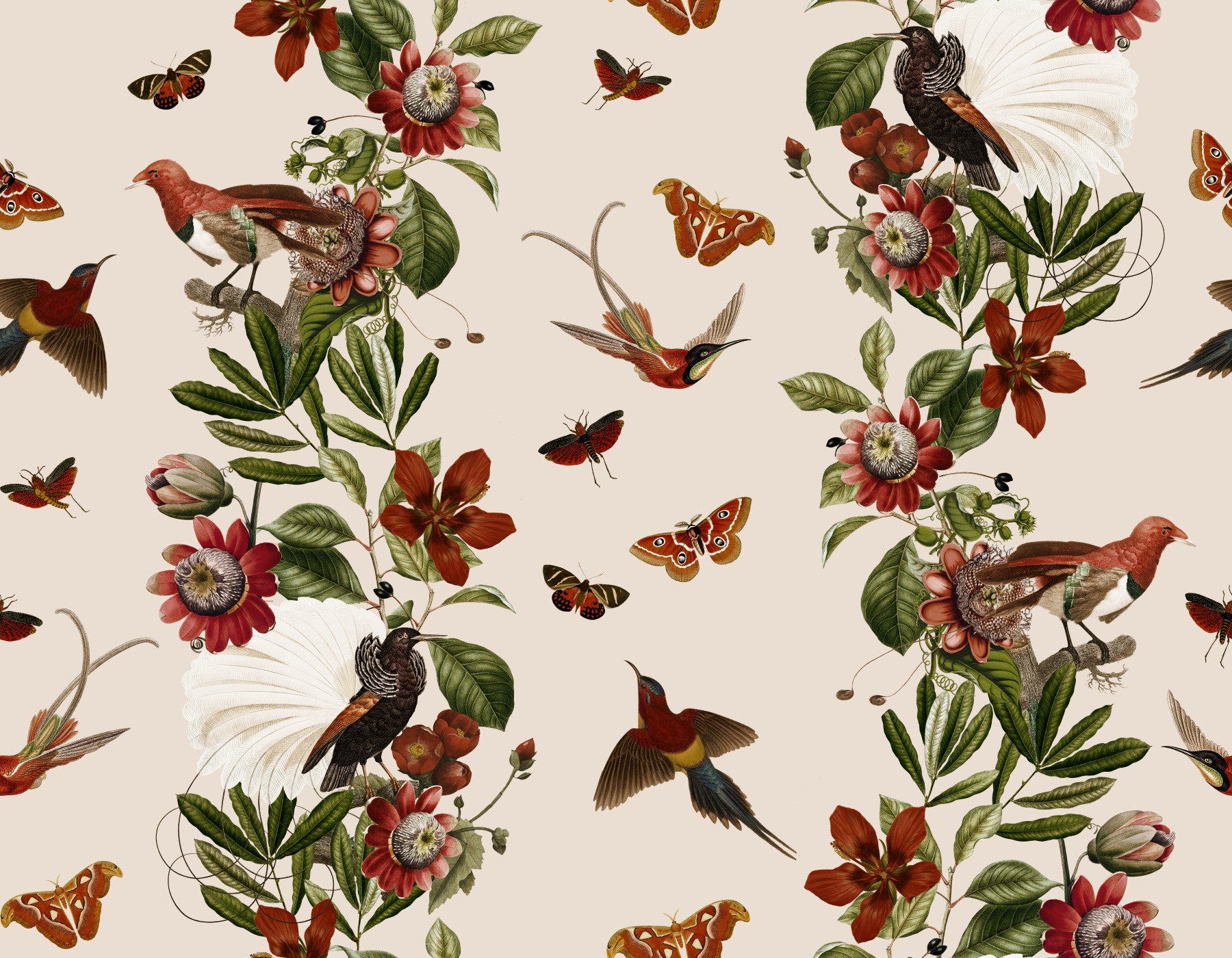 Tropical Rhapsody Wallpaper⁠