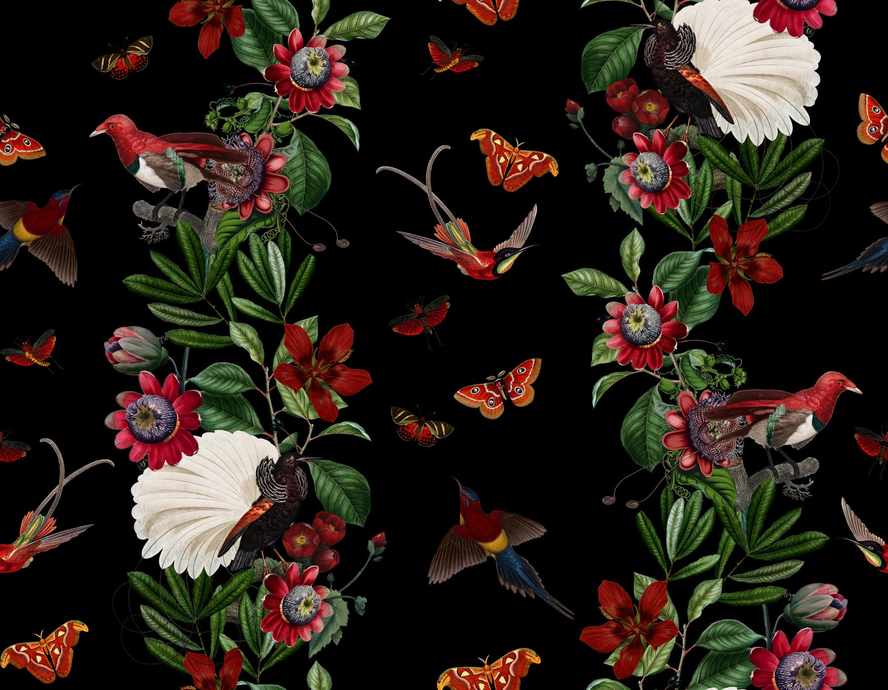 Exotic Nights Wallpaper⁠