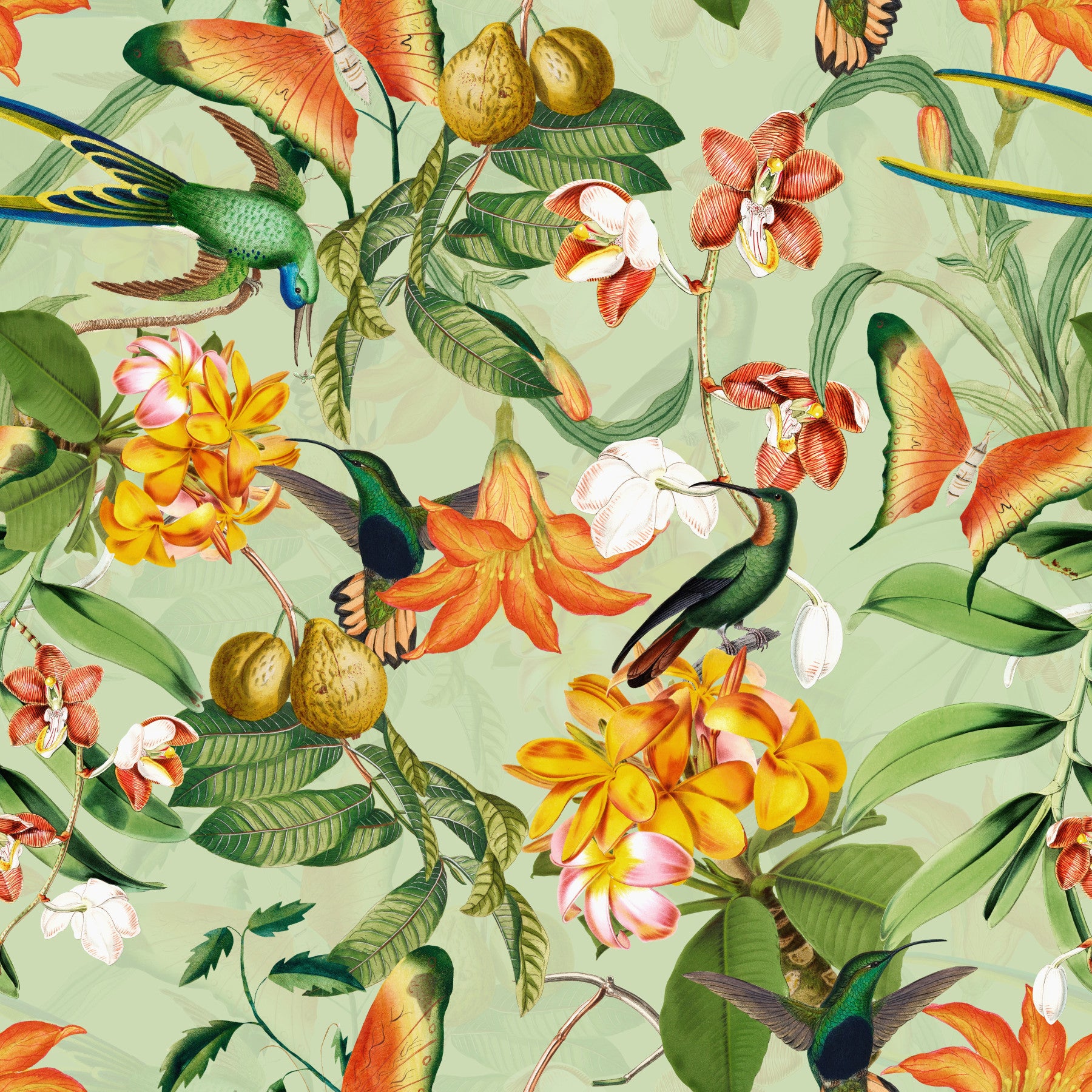 Botanisk fugl rhapsody tapet⁠