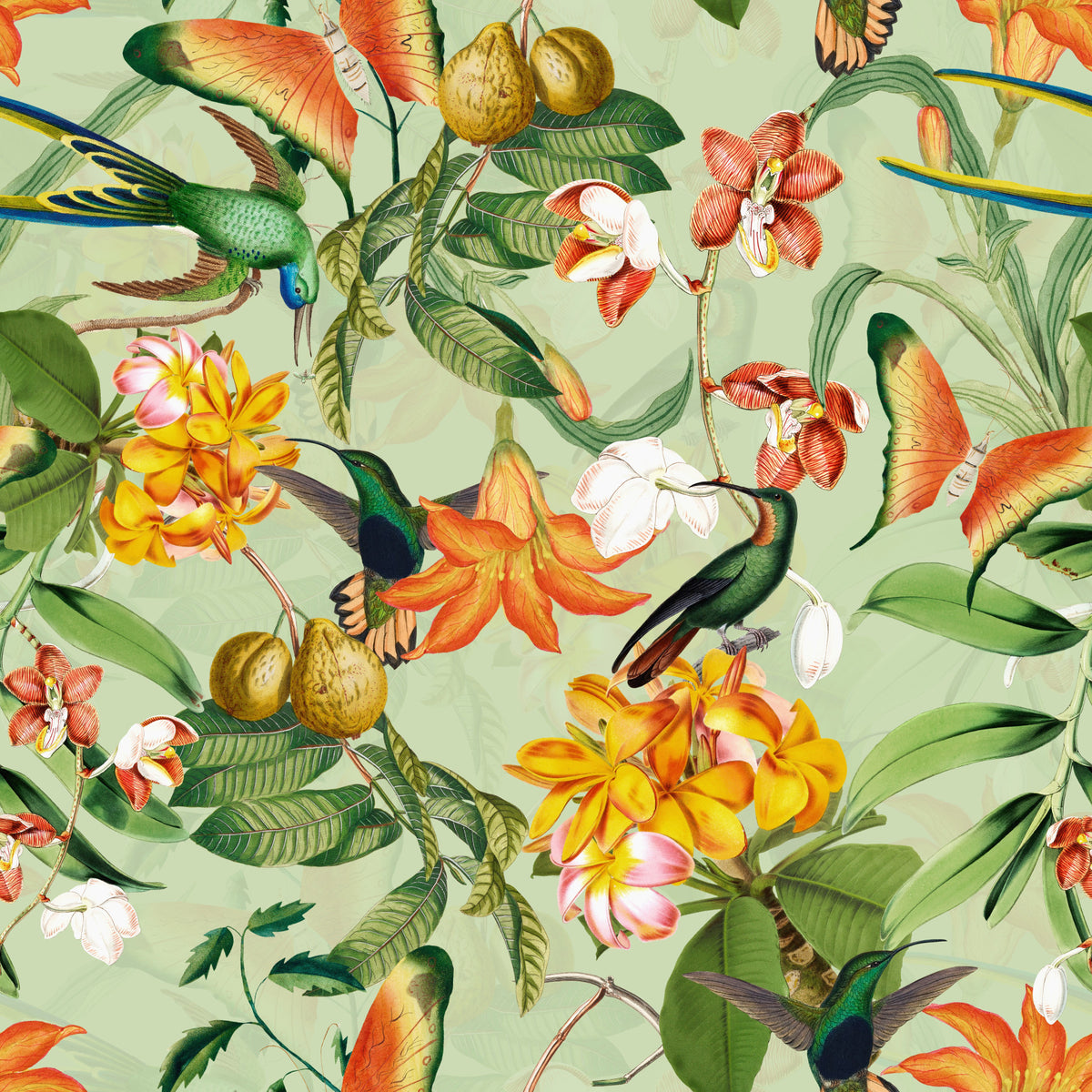 Botanisk fugl rhapsody tapet⁠ in your room — zoomed