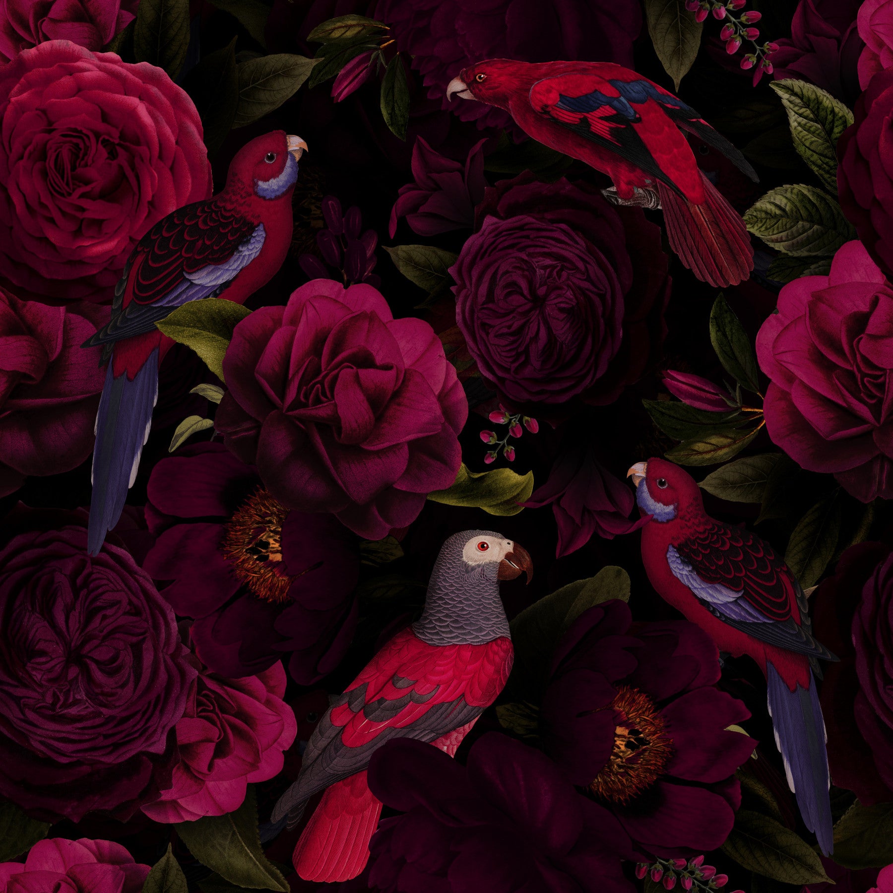 Midnight Bloom 1 Wallpaper⁠