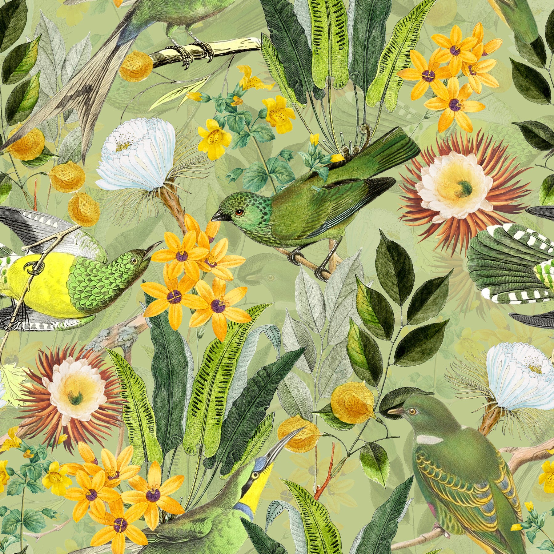 穏やかな熱帯鳥小屋の壁紙⁠