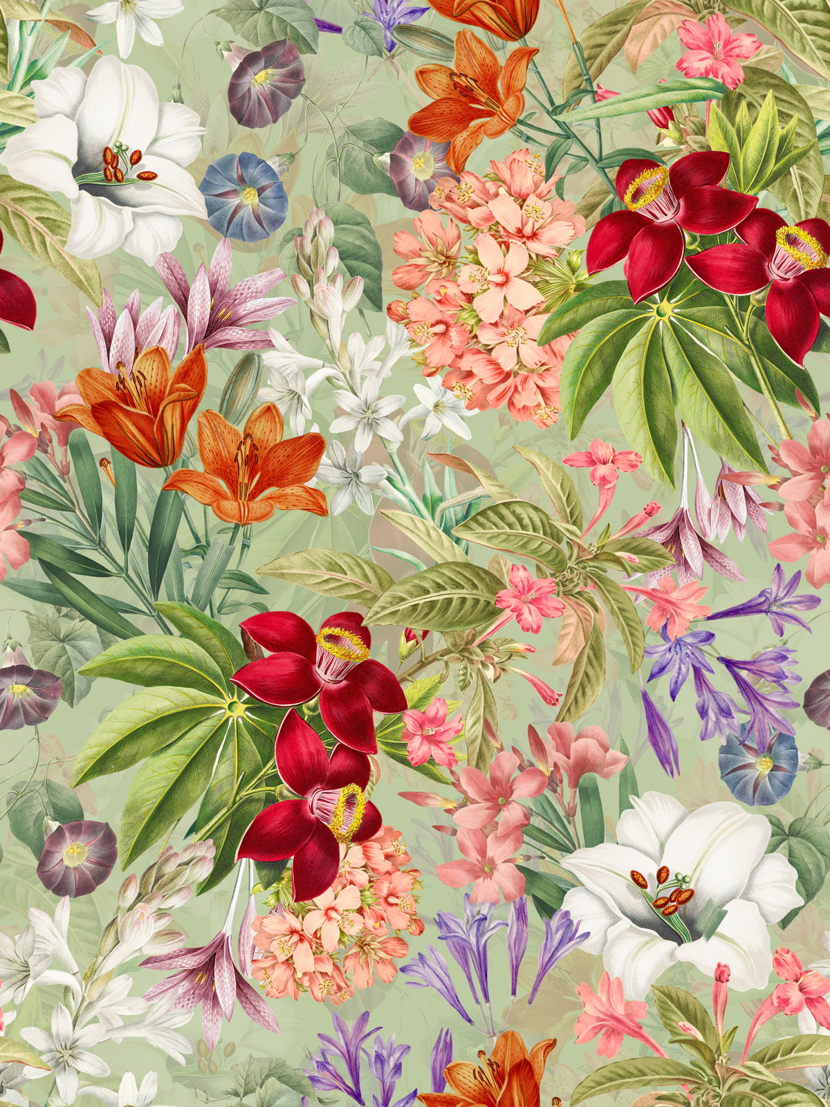 Giardino botanico vintage 1 carta da parati⁠ in your room — zoomed