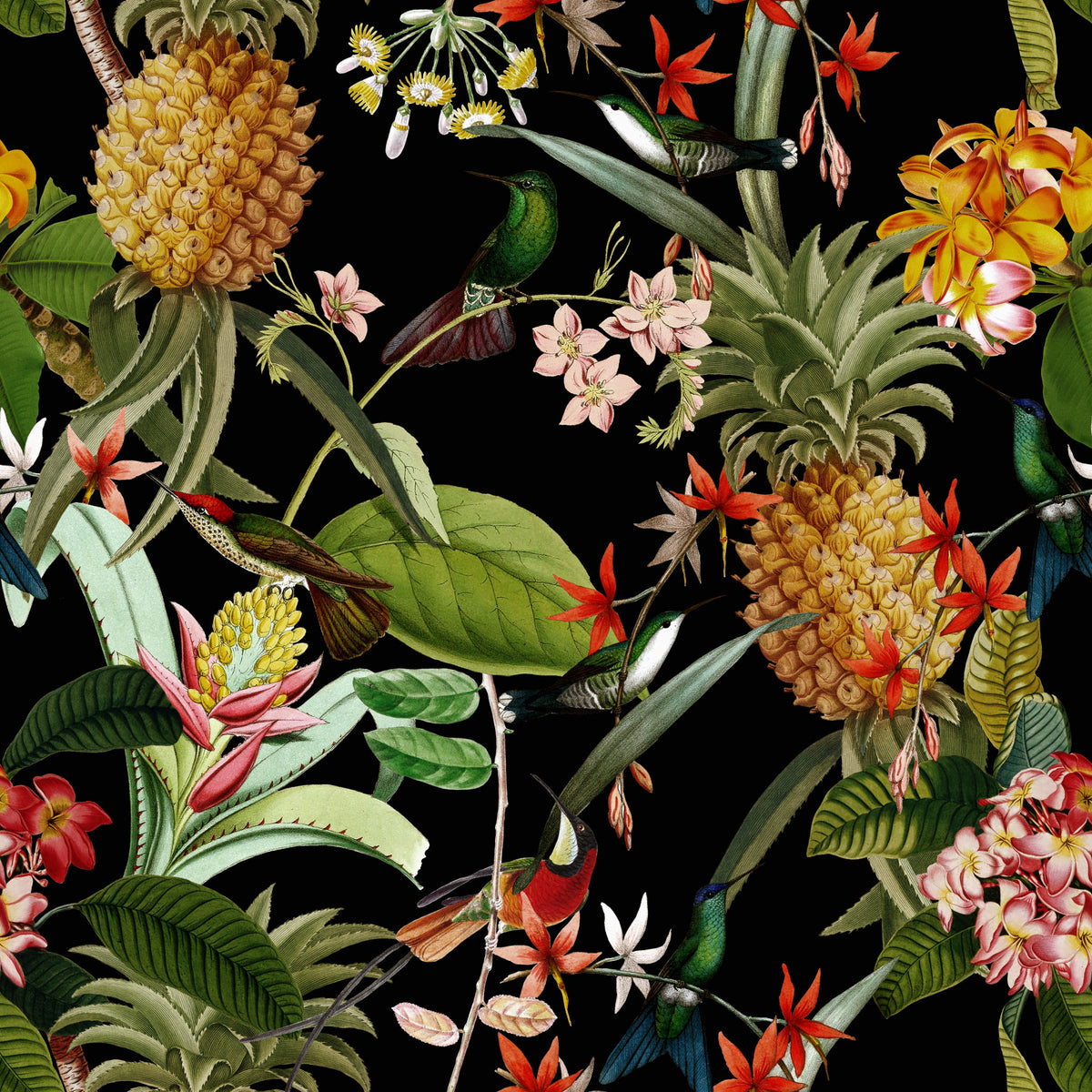 Imagini de fundal Paradis de ananas⁠