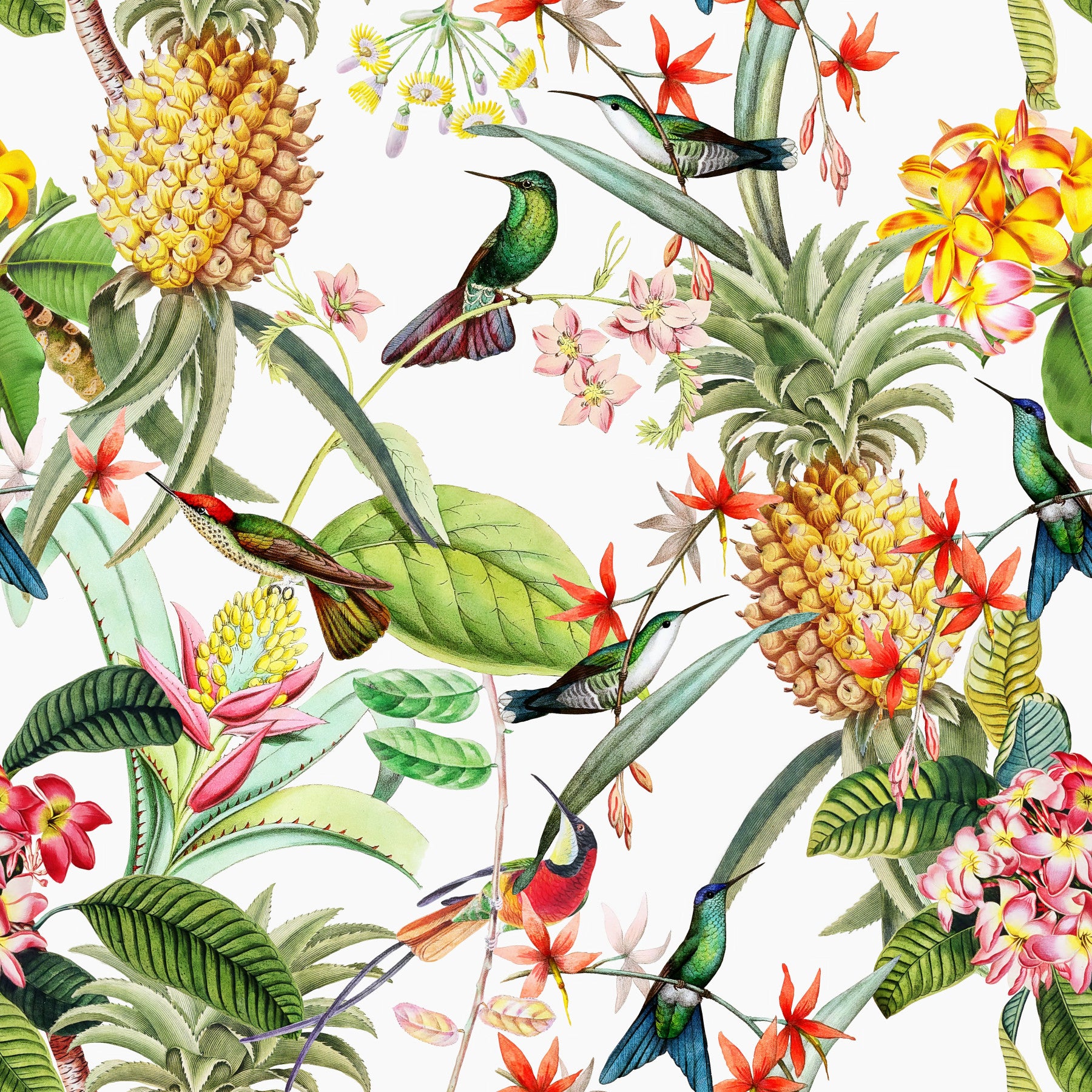 Tropical Paradise Hummingbirds Wallpaper⁠