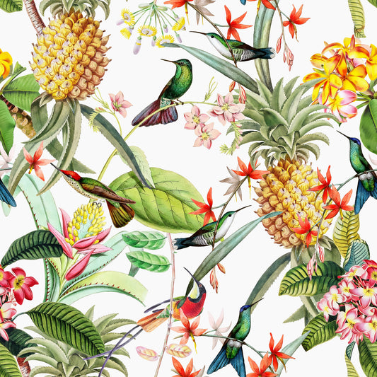 Sfondo per papelli tropicali hummingbirds⁠