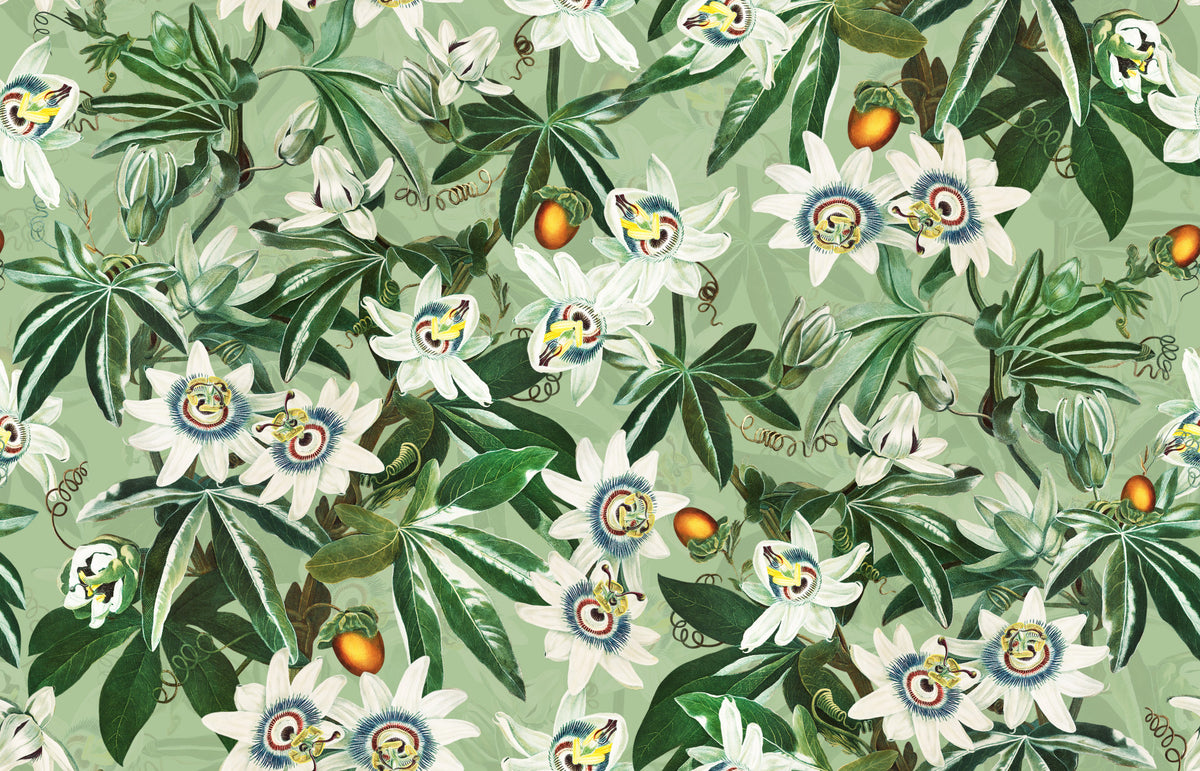 Tapet Passionflower Paradise⁠ in your room — zoomed