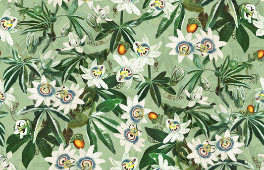Passionflower Paradise tapet⁠