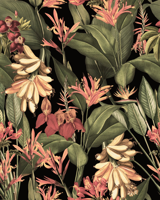 Fond d'écran Tropical Nights⁠