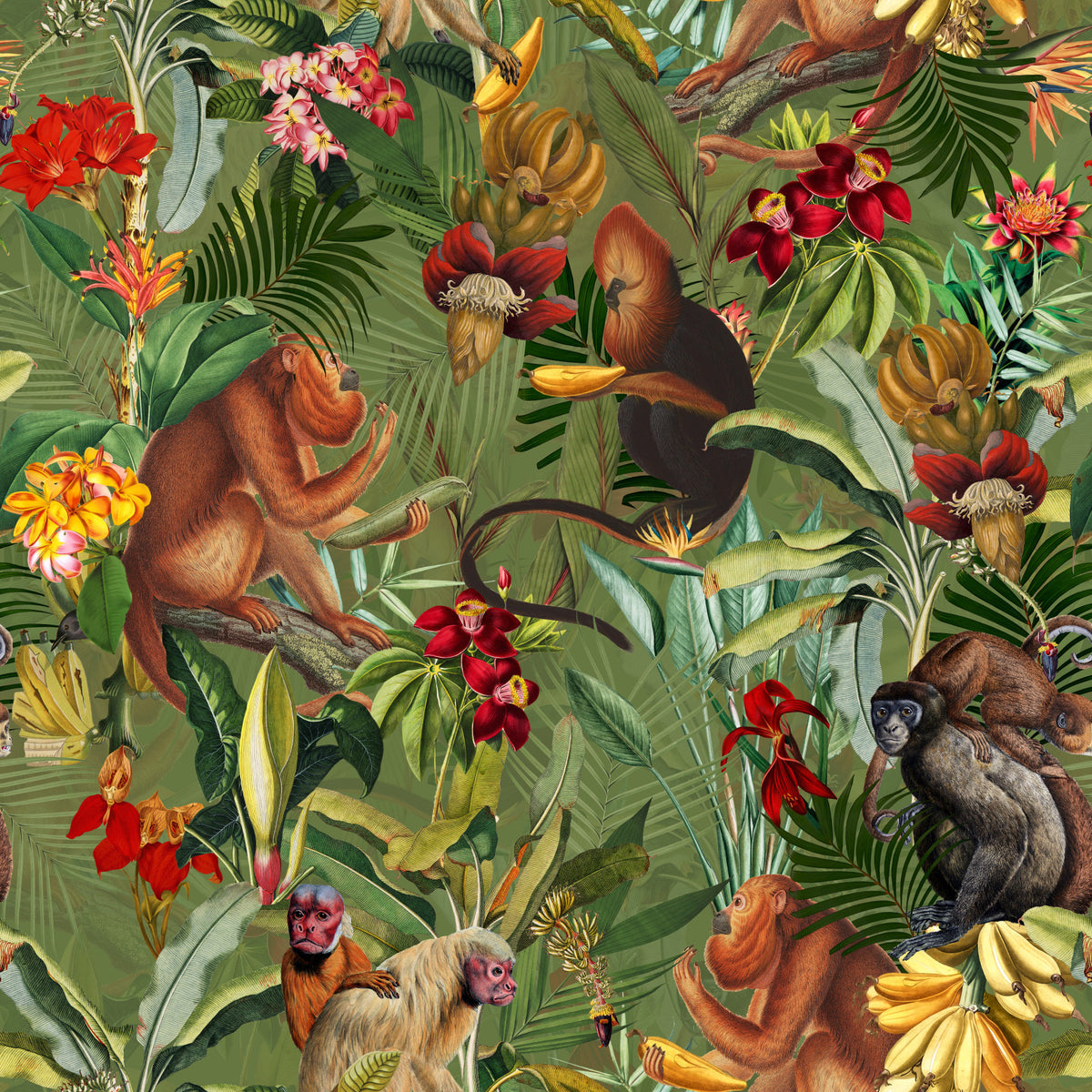 Fond d'écran de la jungle
