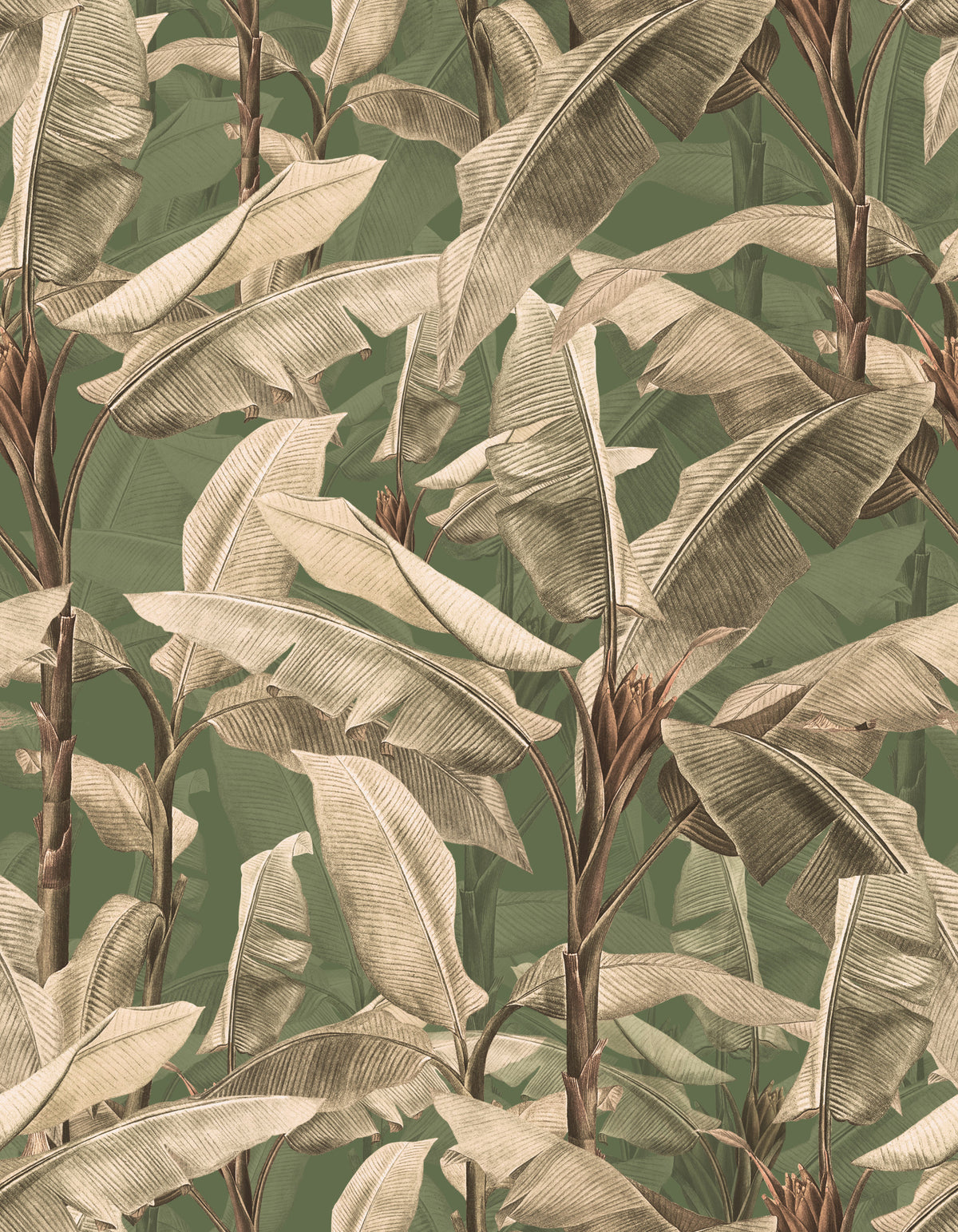 Botanical Eden Wallpaper⁠ in your room