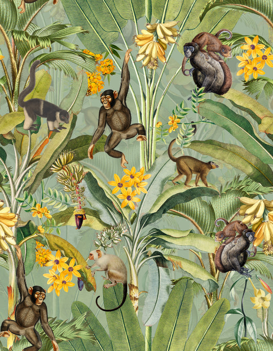 Papier peint d'entreprise de singe tropical⁠