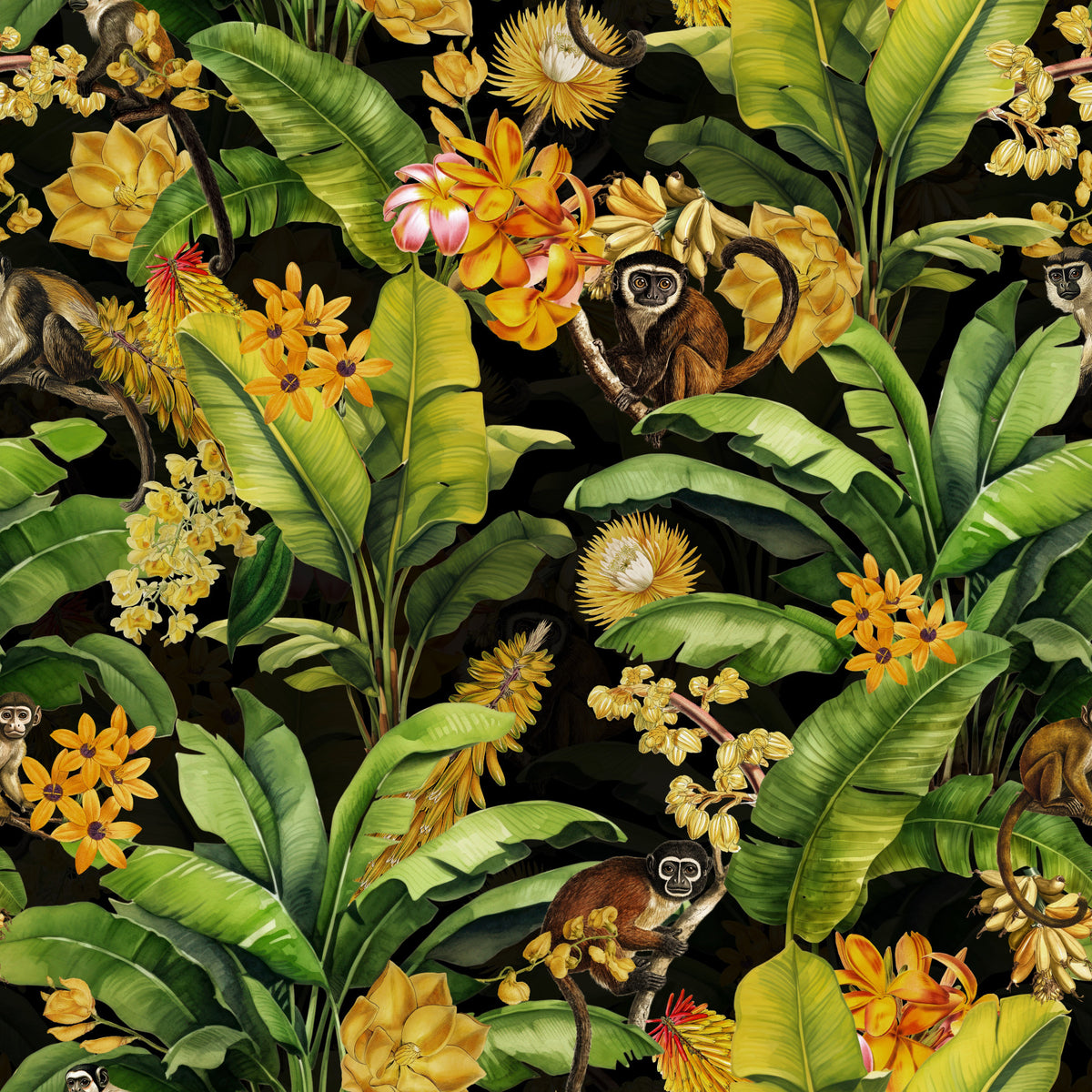 Mitternacht Monkeys Wallpaper⁠ in your room