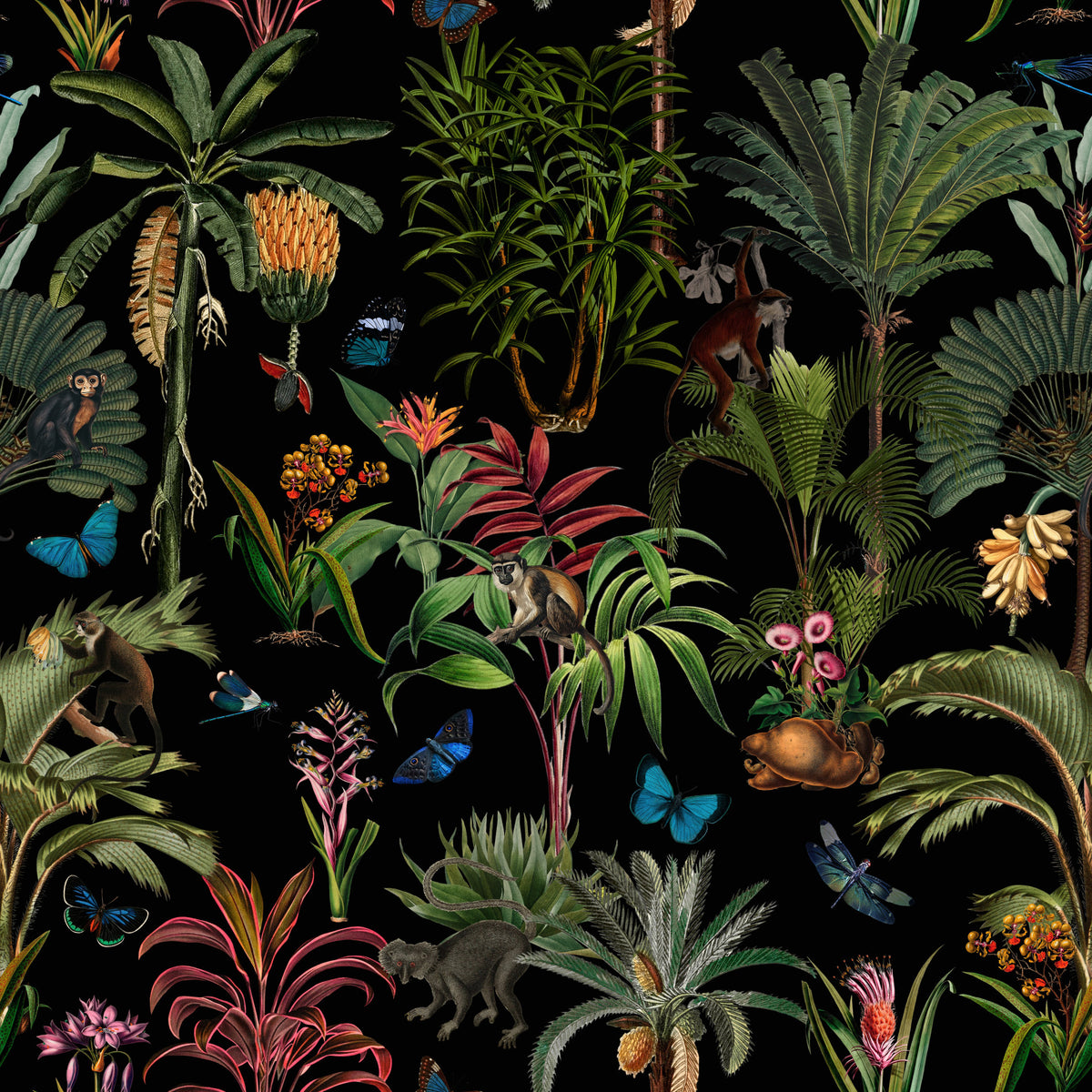 Fond d'écran de la jungle de minuit⁠