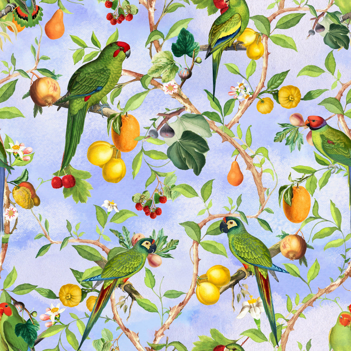 Tropical Paradise Birds 1 Tapete⁠ in your room