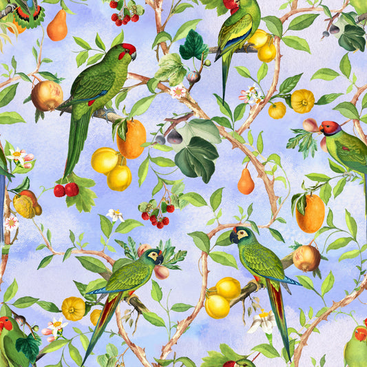 Birds paradis tropicaux 1 papier peint⁠