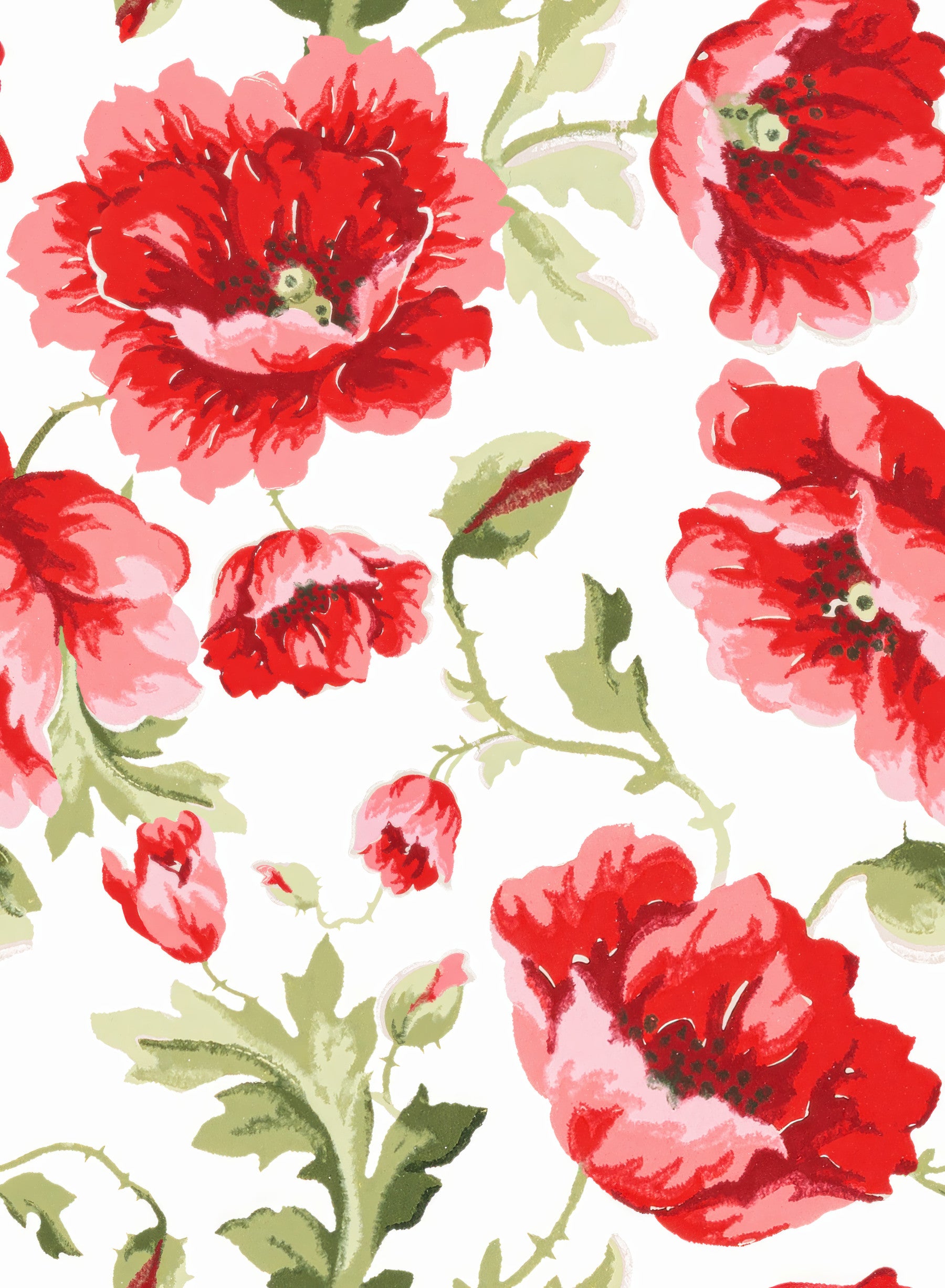 Waterverf Poppy Garden Wallpaper⁠