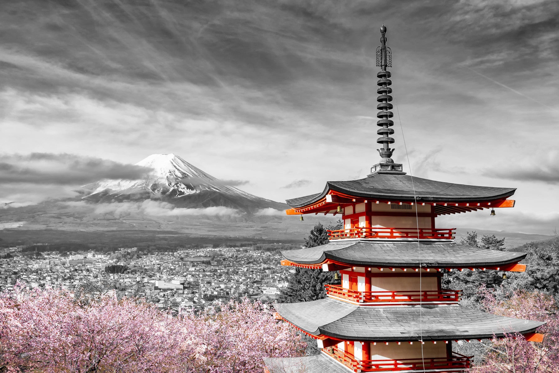 Prachtig uitzicht op Mount Fuji met Chureito Pagode tijdens het kersenbloesemseizoen | Colorkey Wall Mural