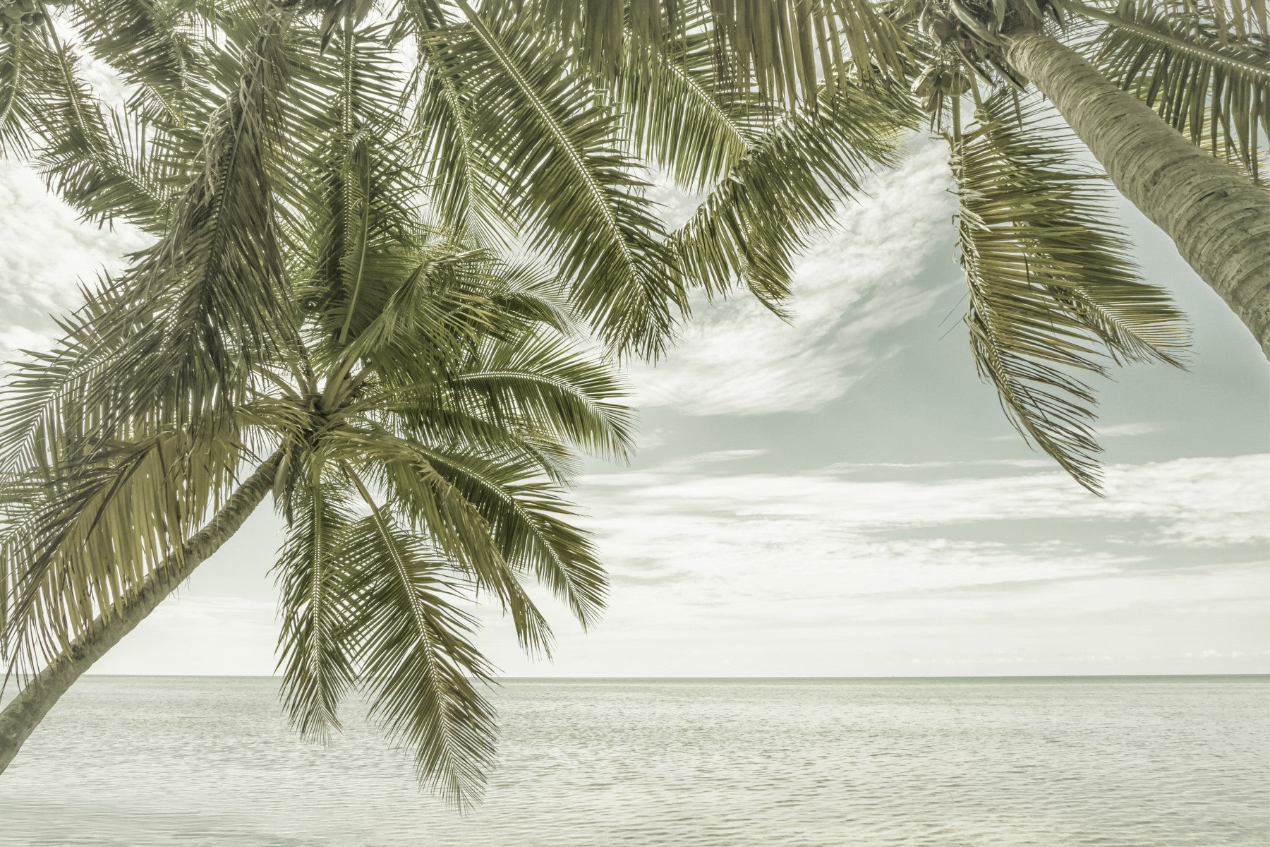 Florida Ocean View | Vintage Wall Mural