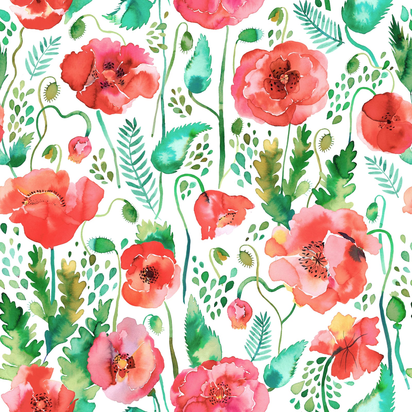Spring Poppies Nature Watercolor Plants Wallpaper⁠