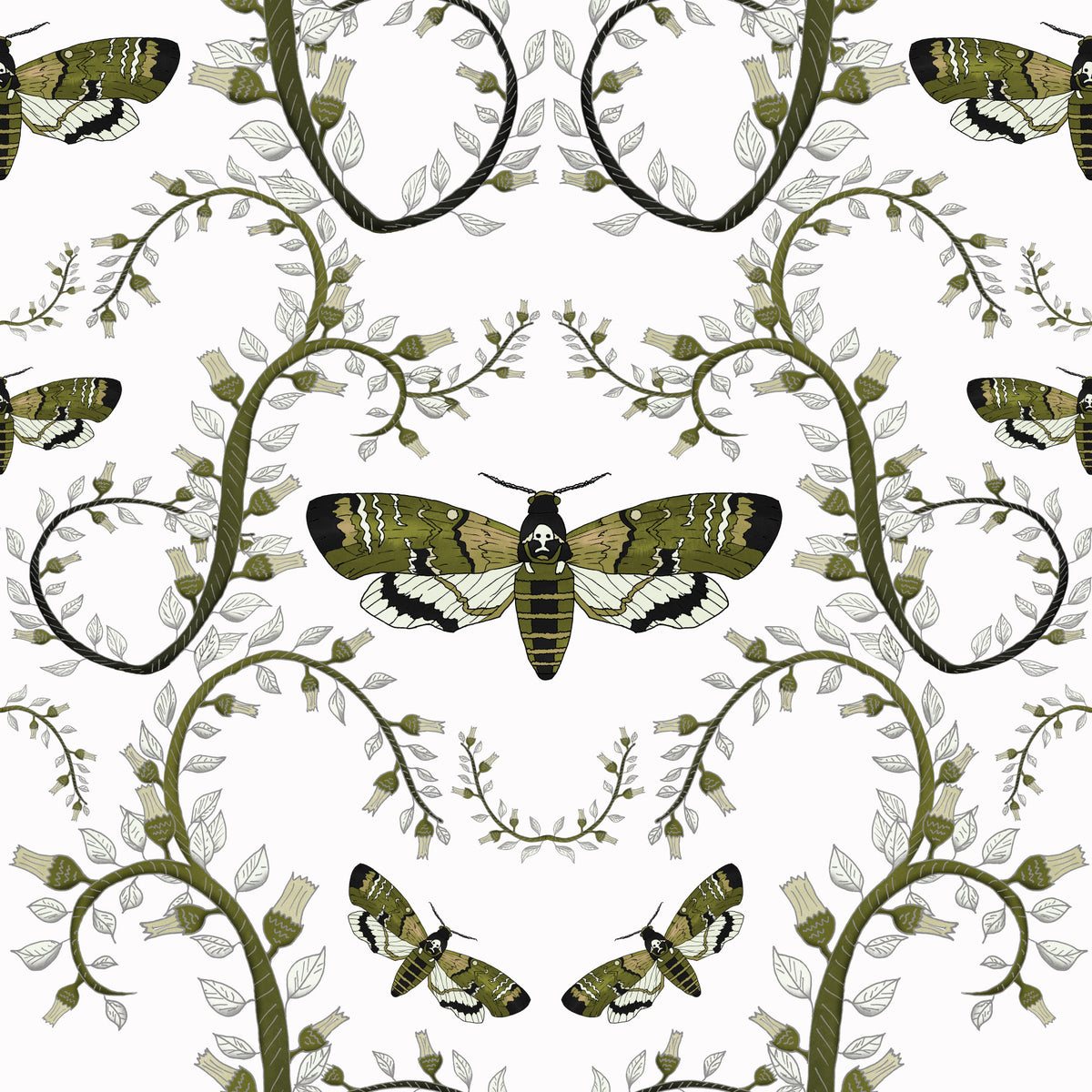 Death's-Head Hawkmoth Garden Wallpaper⁠ in your room — zoomed