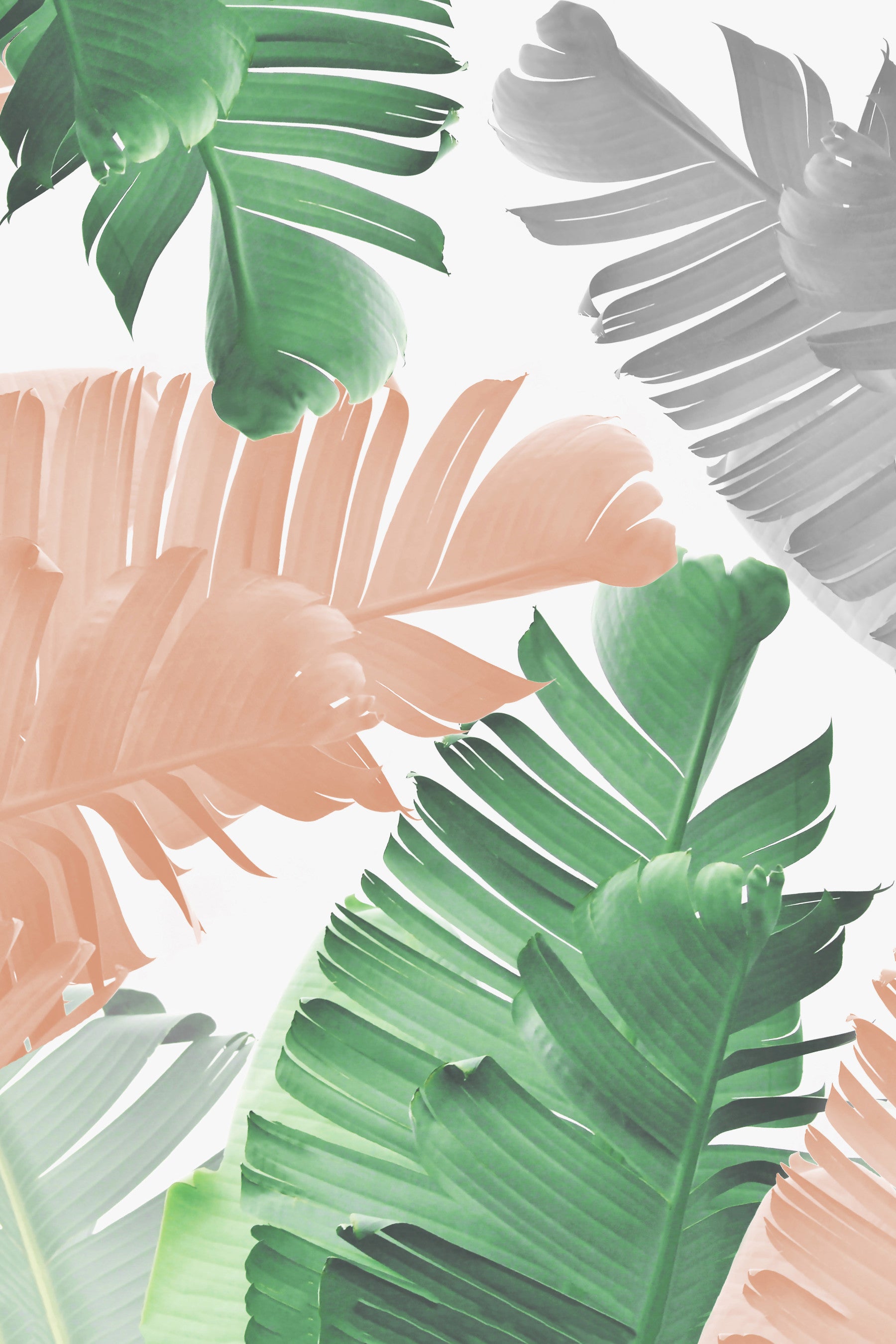 Banana Leaf Play Wall Mural