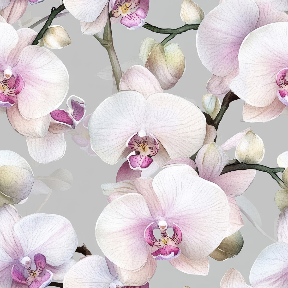 Eleganz der Orchideen -Tapete⁠ in your room — zoomed