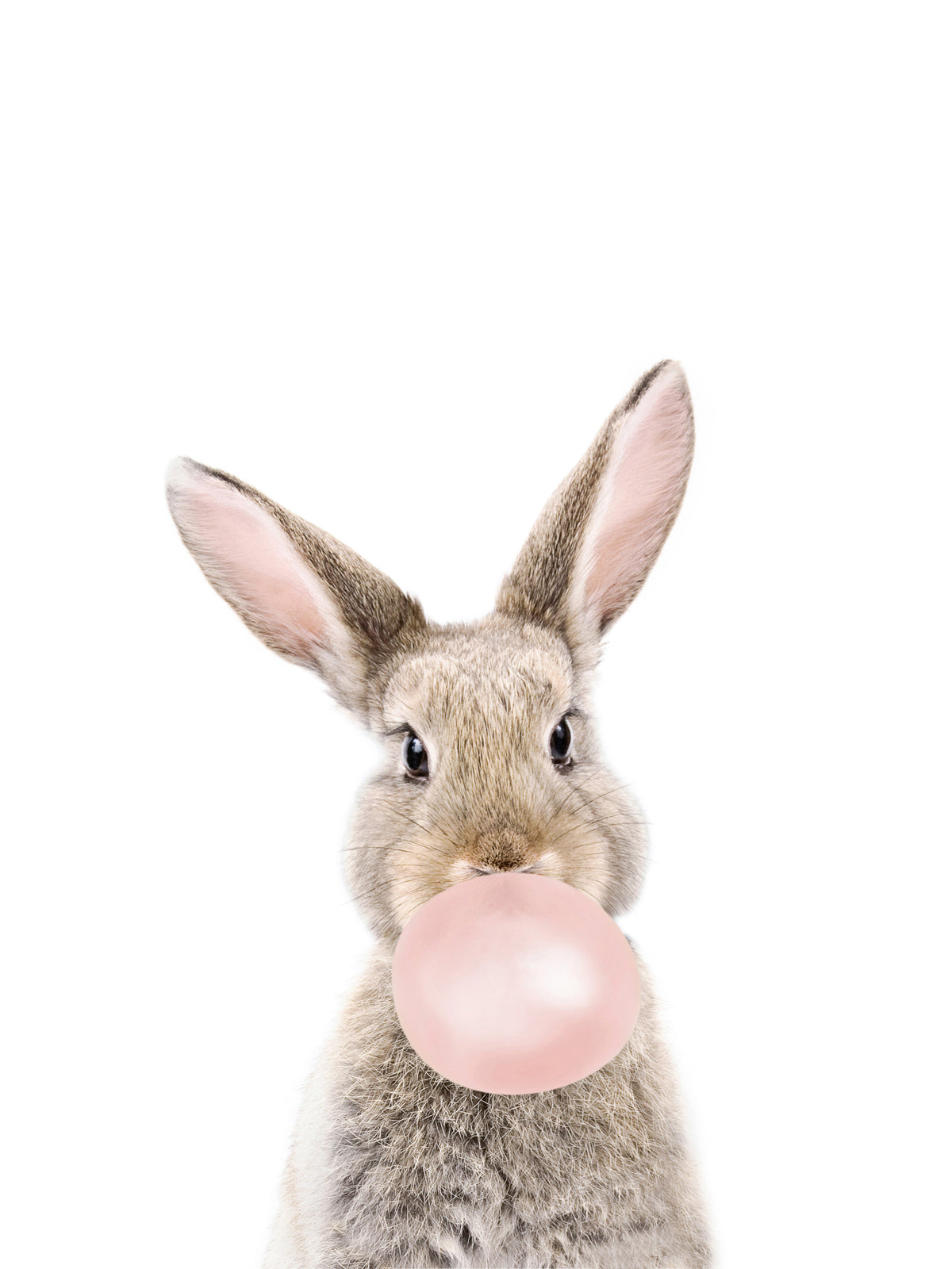 Bubble Gum Bunny Wall Mural