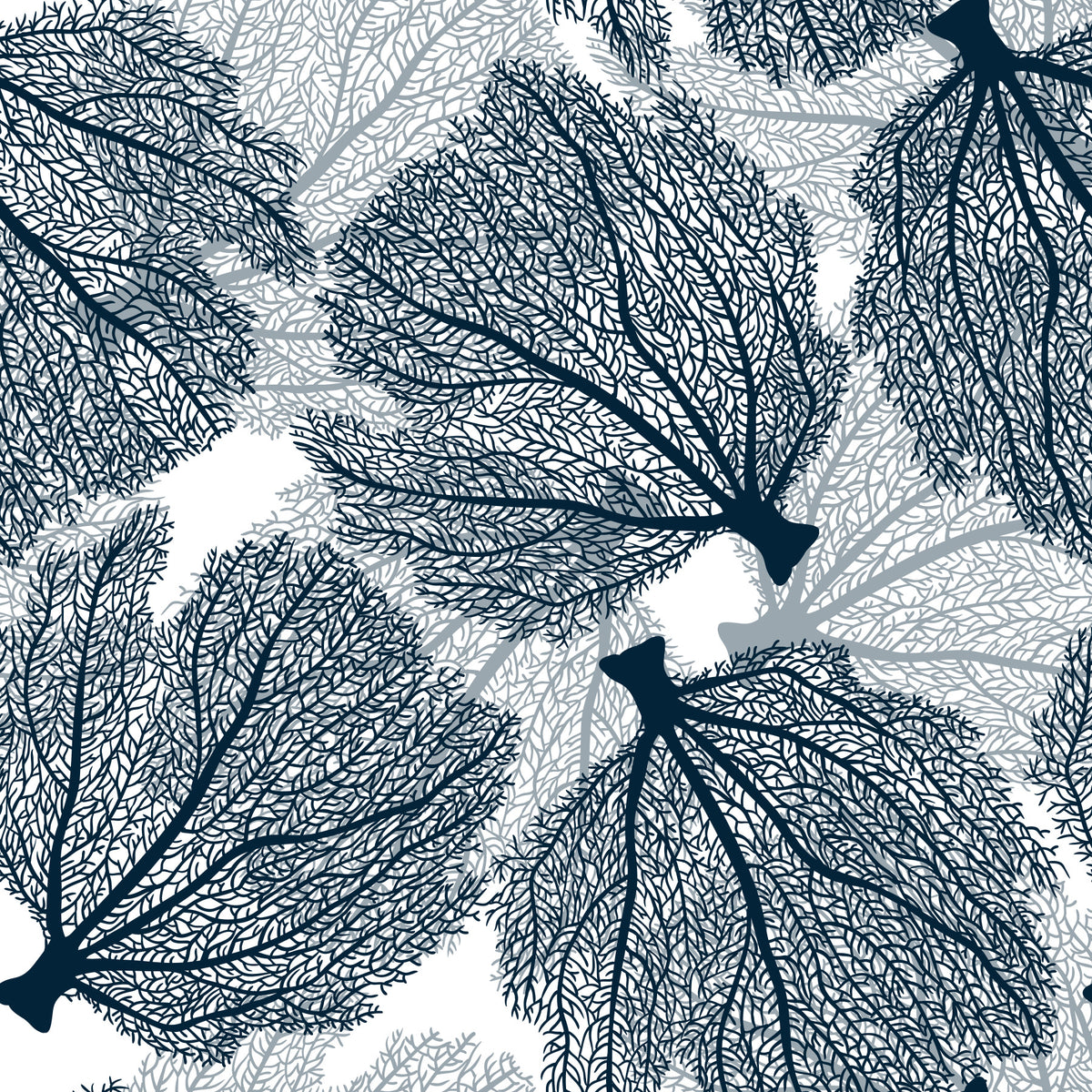 Fan Coral in marine en witte wallpaper⁠
