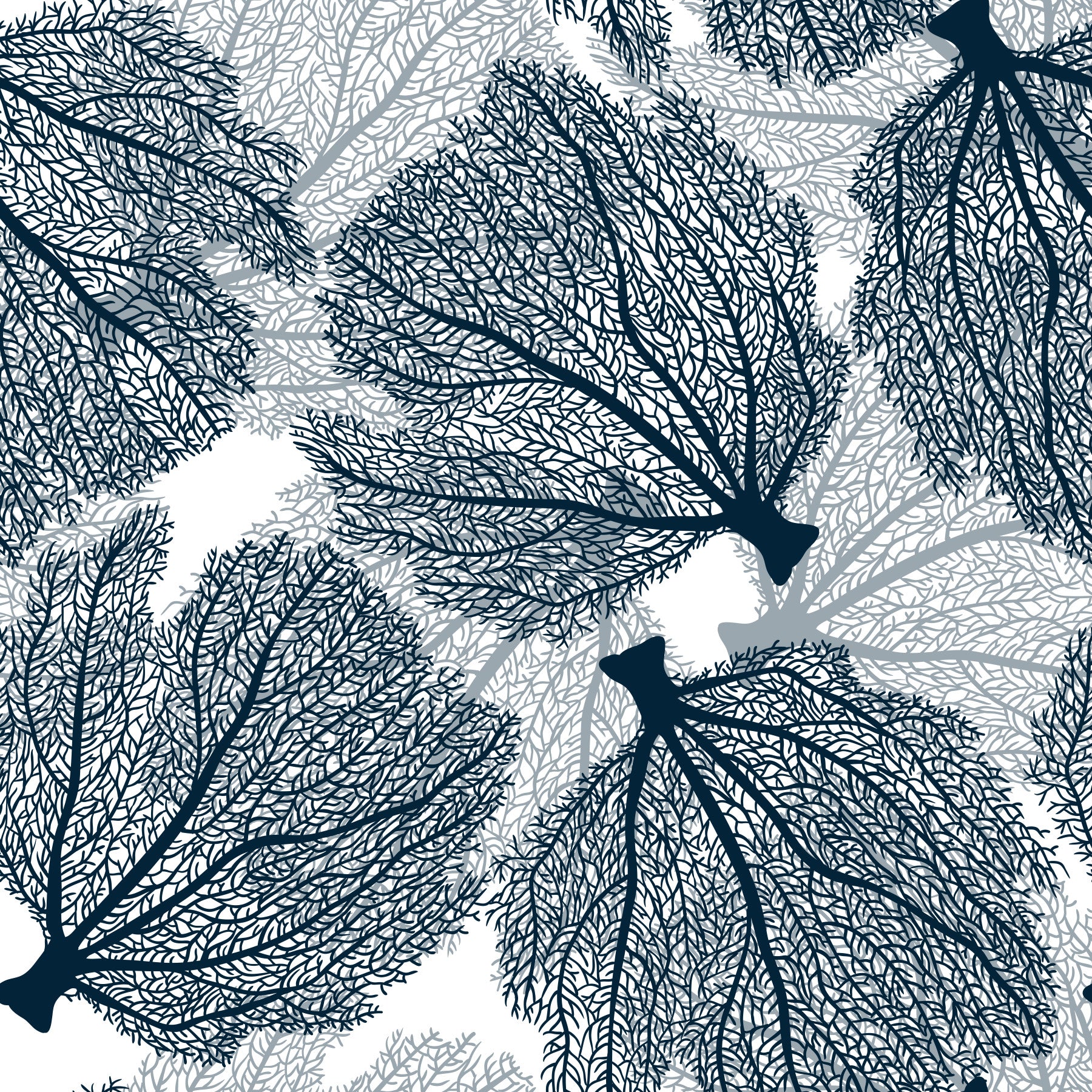 Fan Coral in marine en witte wallpaper⁠ in your room — zoomed