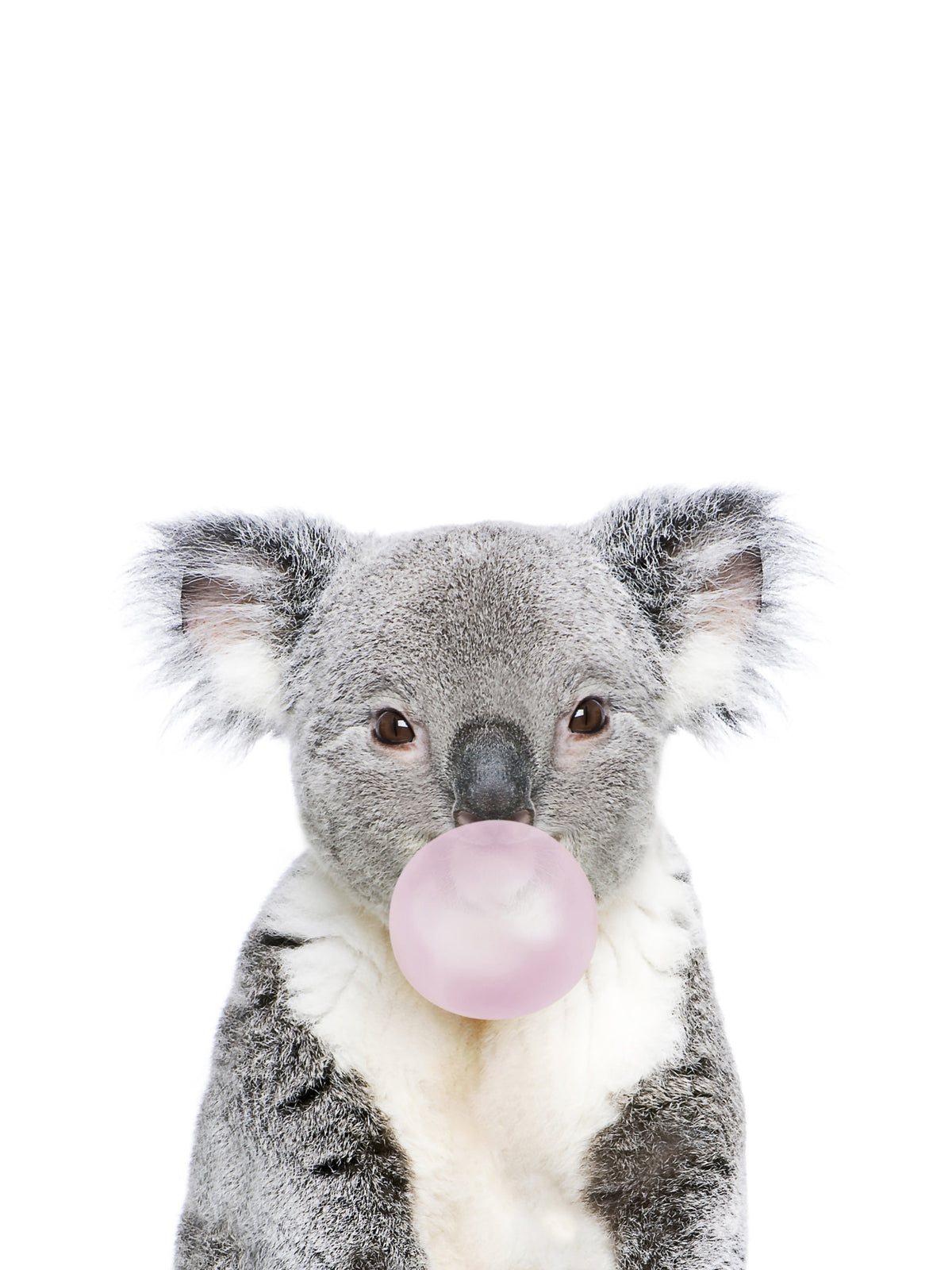 Bubble-gum koala mural mural in your room — zoomed