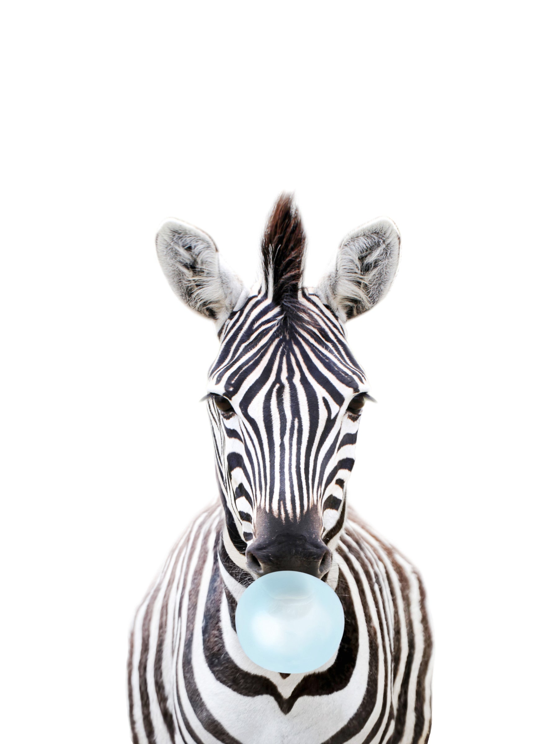 Bubble Gum Zebra Wall Mural