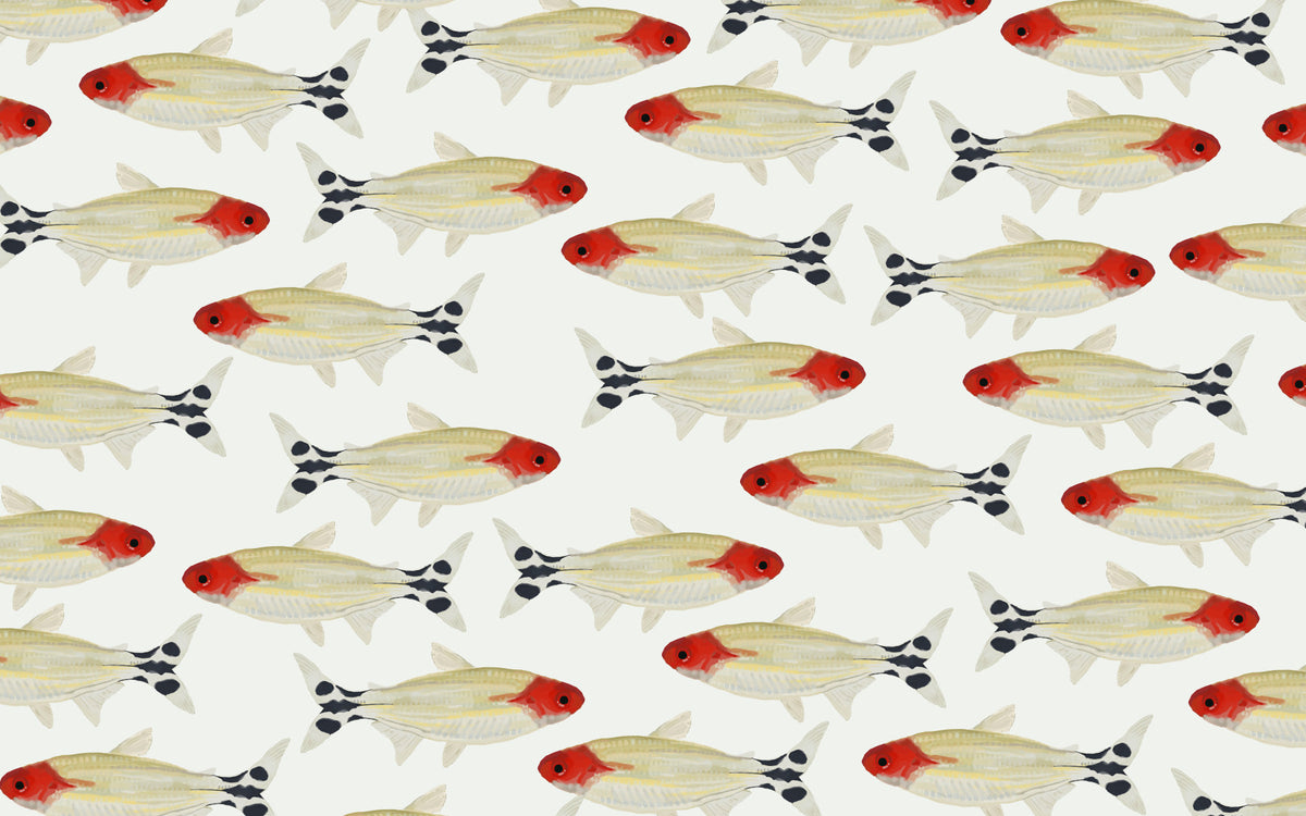 Mural de perete asperum in your room