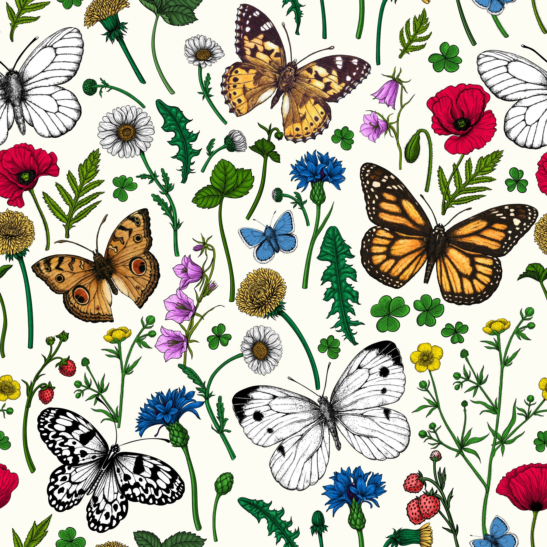 Wildblumen und Schmetterlinge Wallpaper⁠