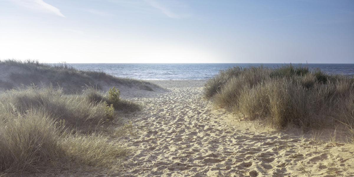 Coastal Path to Serenity Wall Mural in your room — zoomed
