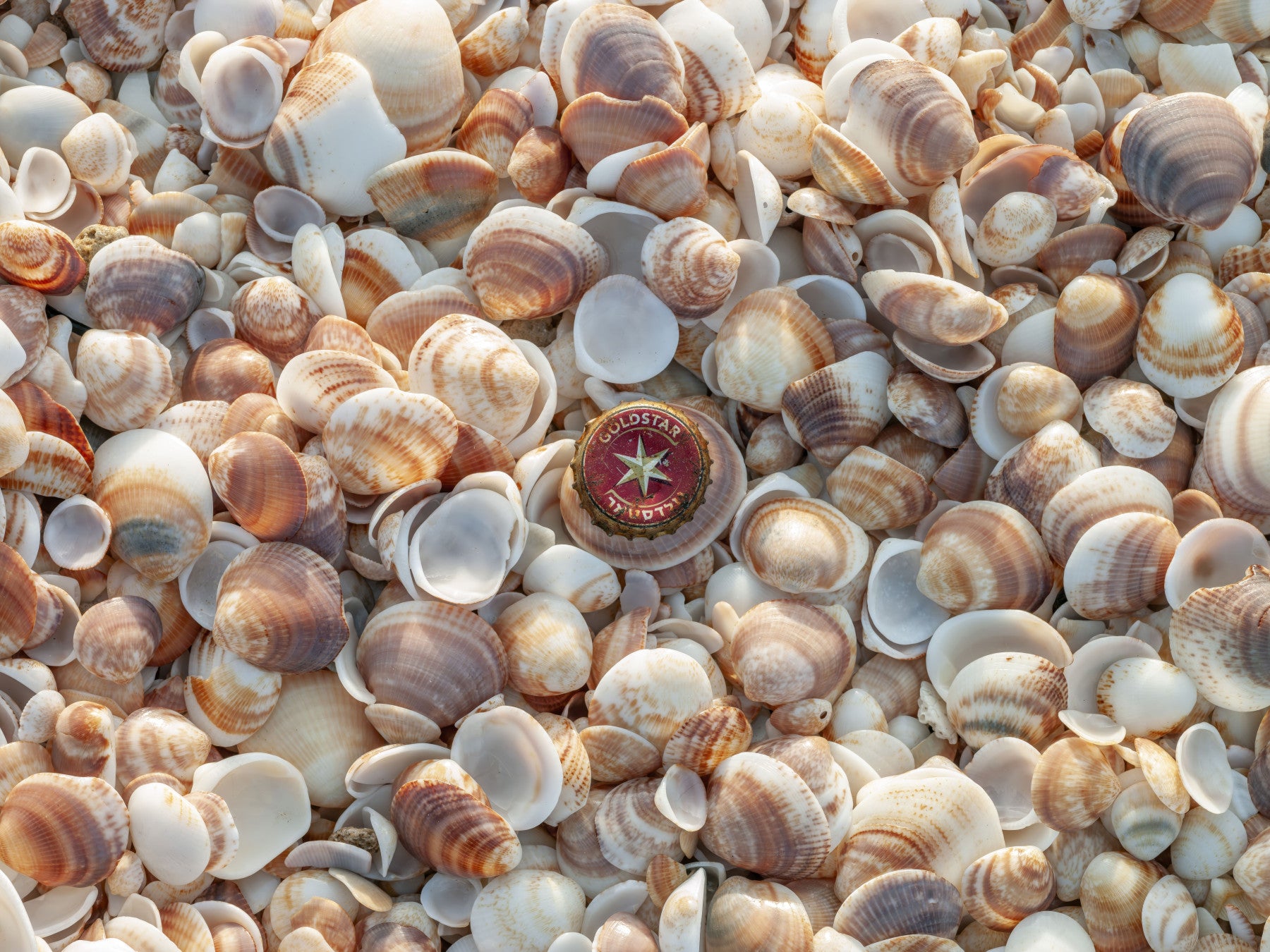 Strandschätze Wandmalerei