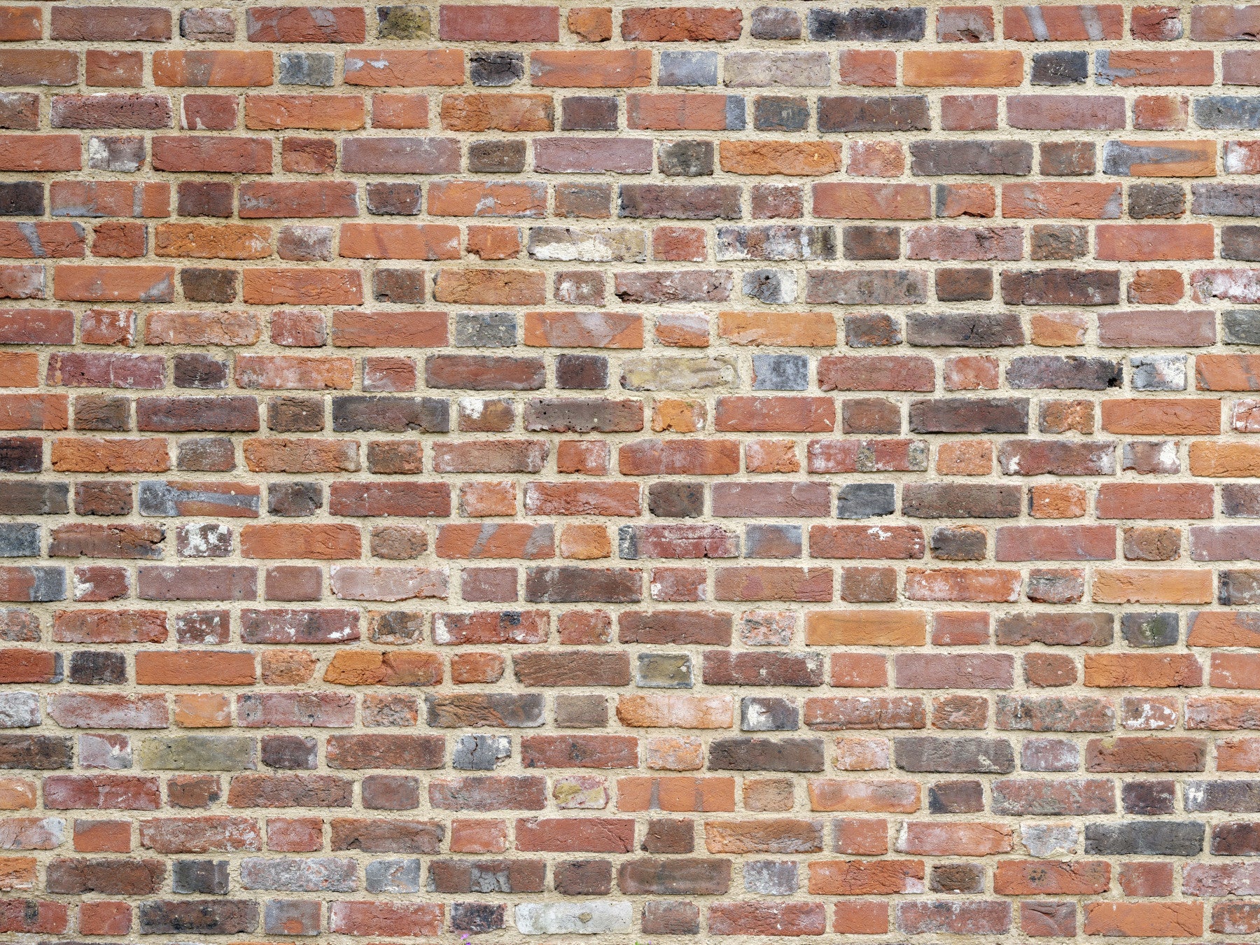 Rustic Brick Wall Mural