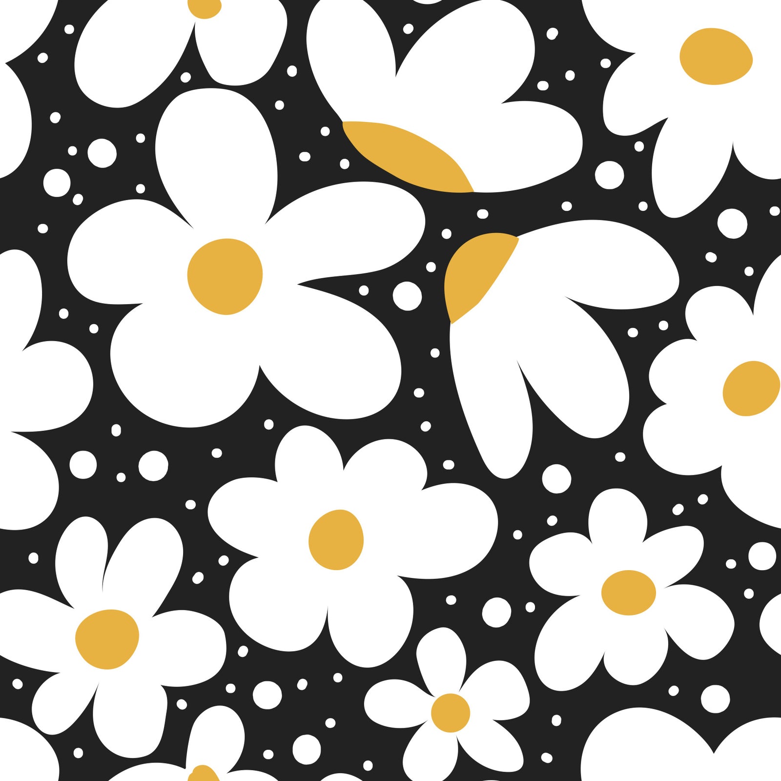 Midnight Daisies Wallpaper⁠