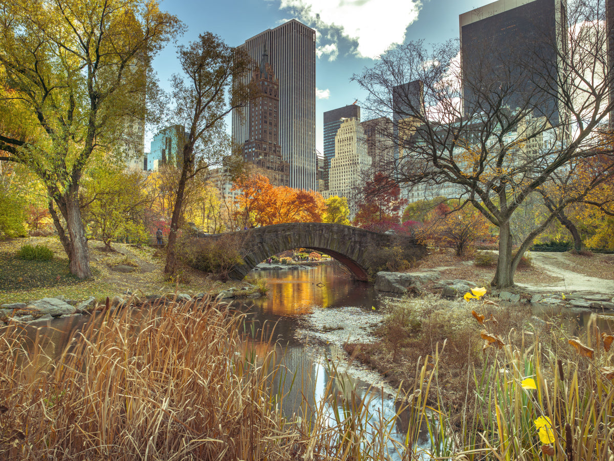 Manhattan's Autumn Embrace Wall Mural in your room — zoomed