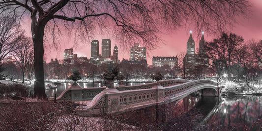 Dusk rose sur Central Park Wall Mural